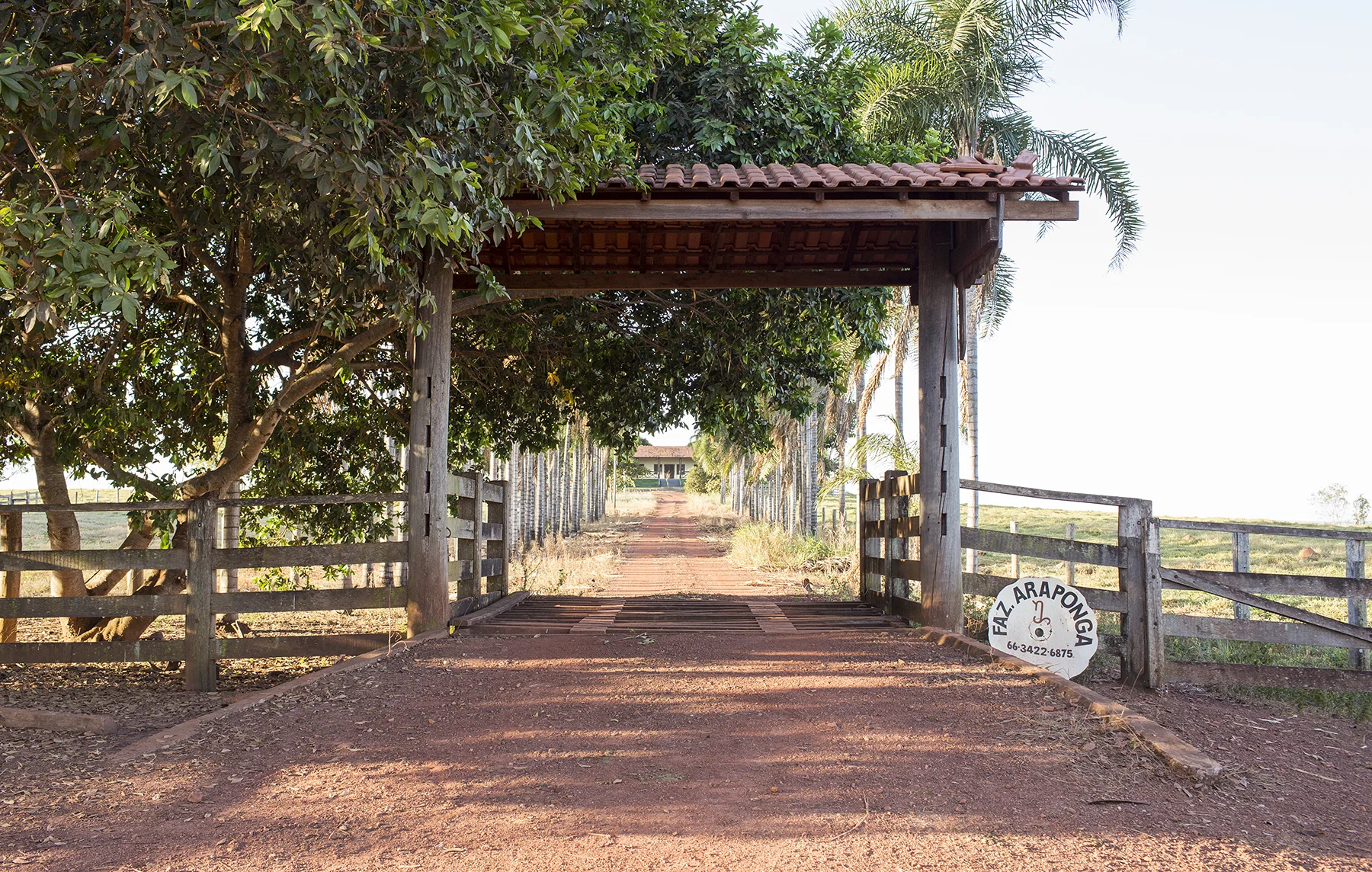 BRAZIL_MATO_GROSSO_FARM_7_27_2015_1022.jpg