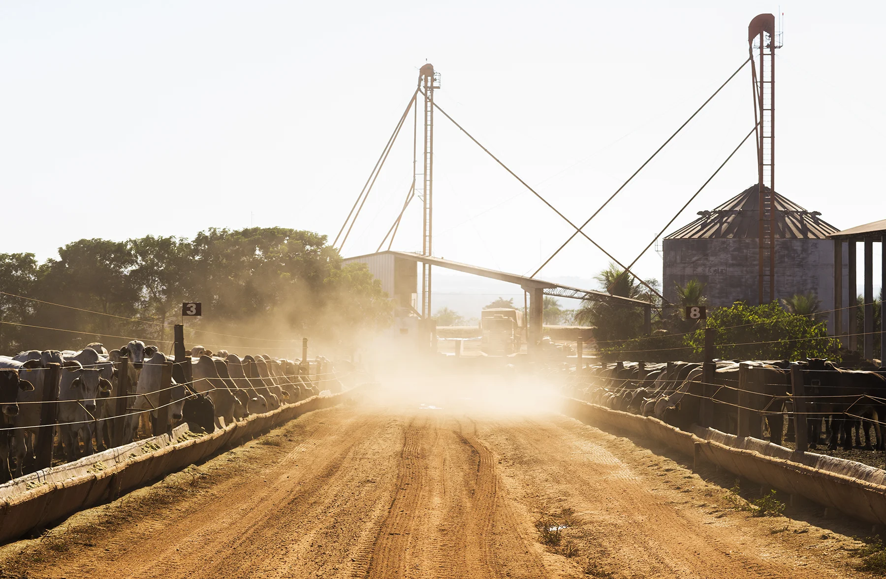BRAZIL_MATO_GROSSO_FARM_7_28_2015_0380.jpg