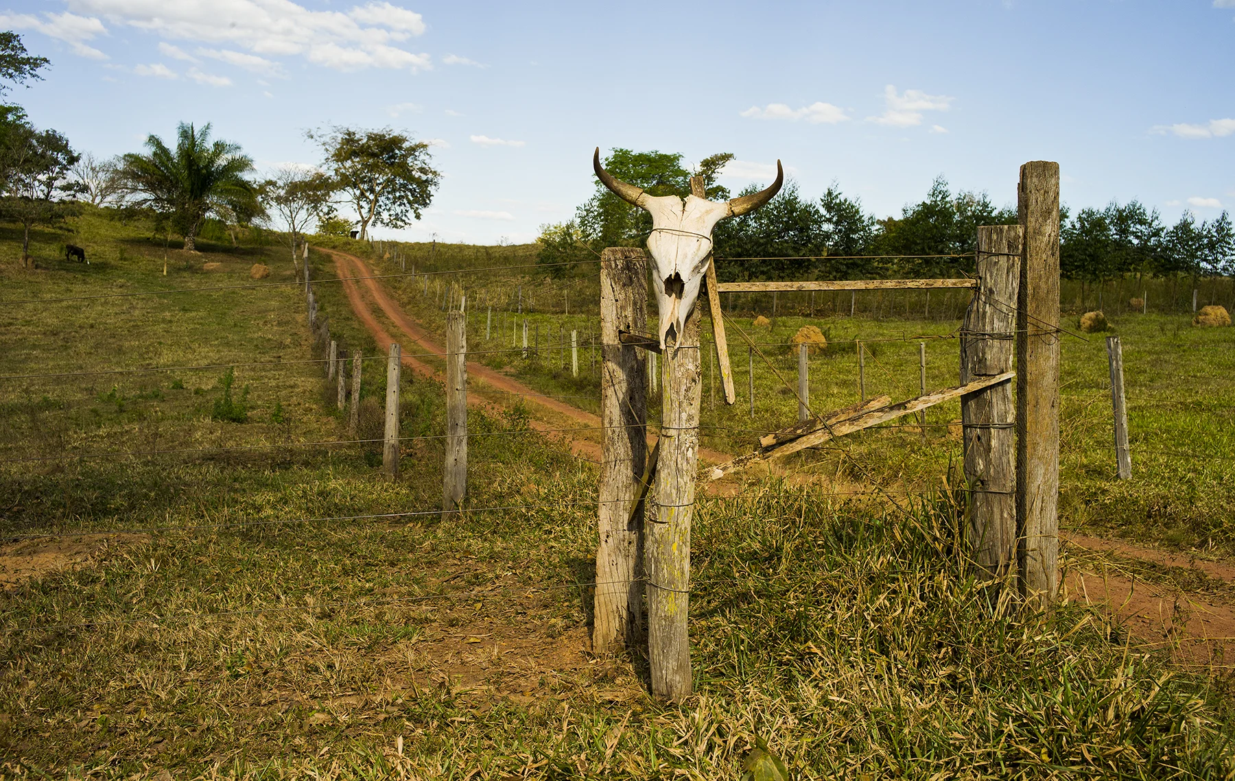 BRAZIL_MATO_GROSSO_FARM_7_28_2015_0512.jpg
