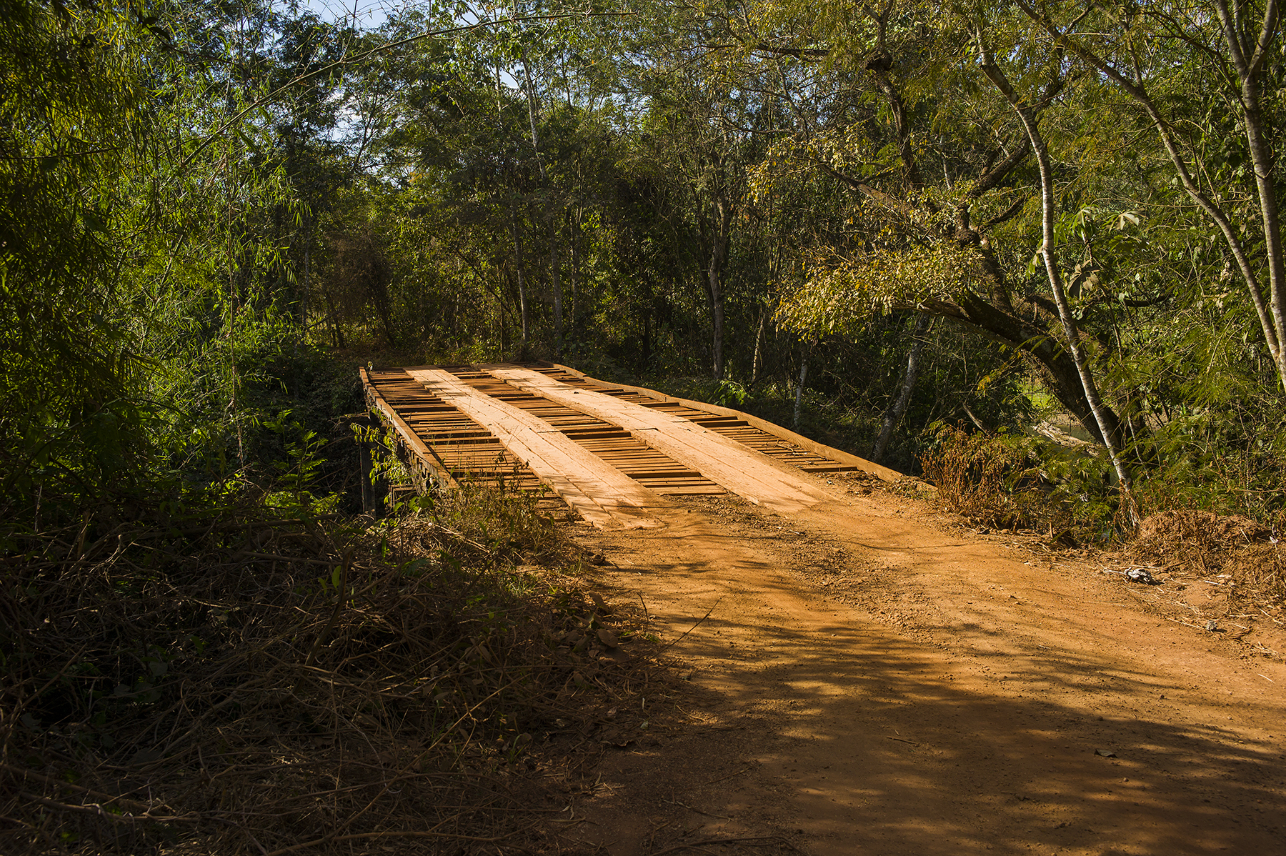 BRAZIL_MATO_GROSSO_FARM_7_28_2015_0524.jpg