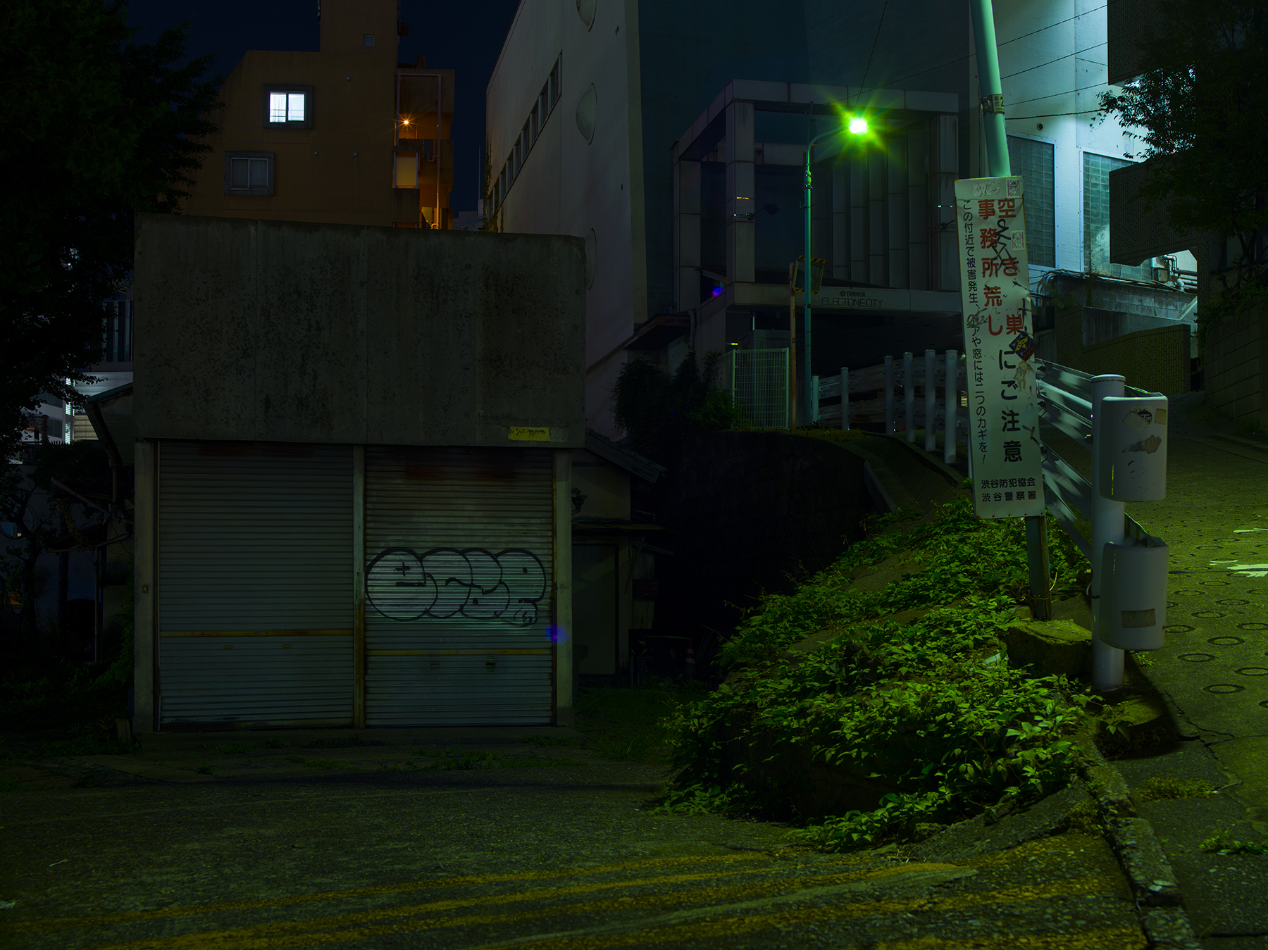 JAPAN_NIGHT_HASSELBLAD_9_2017_0017.jpg