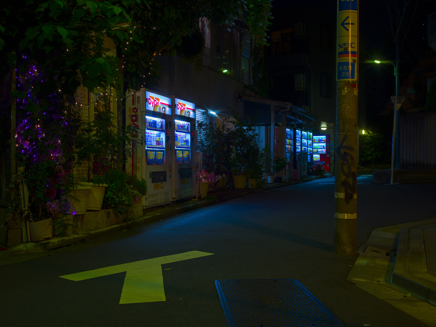 JAPAN_NIGHT_HASSELBLAD_9_2017_0023.jpg