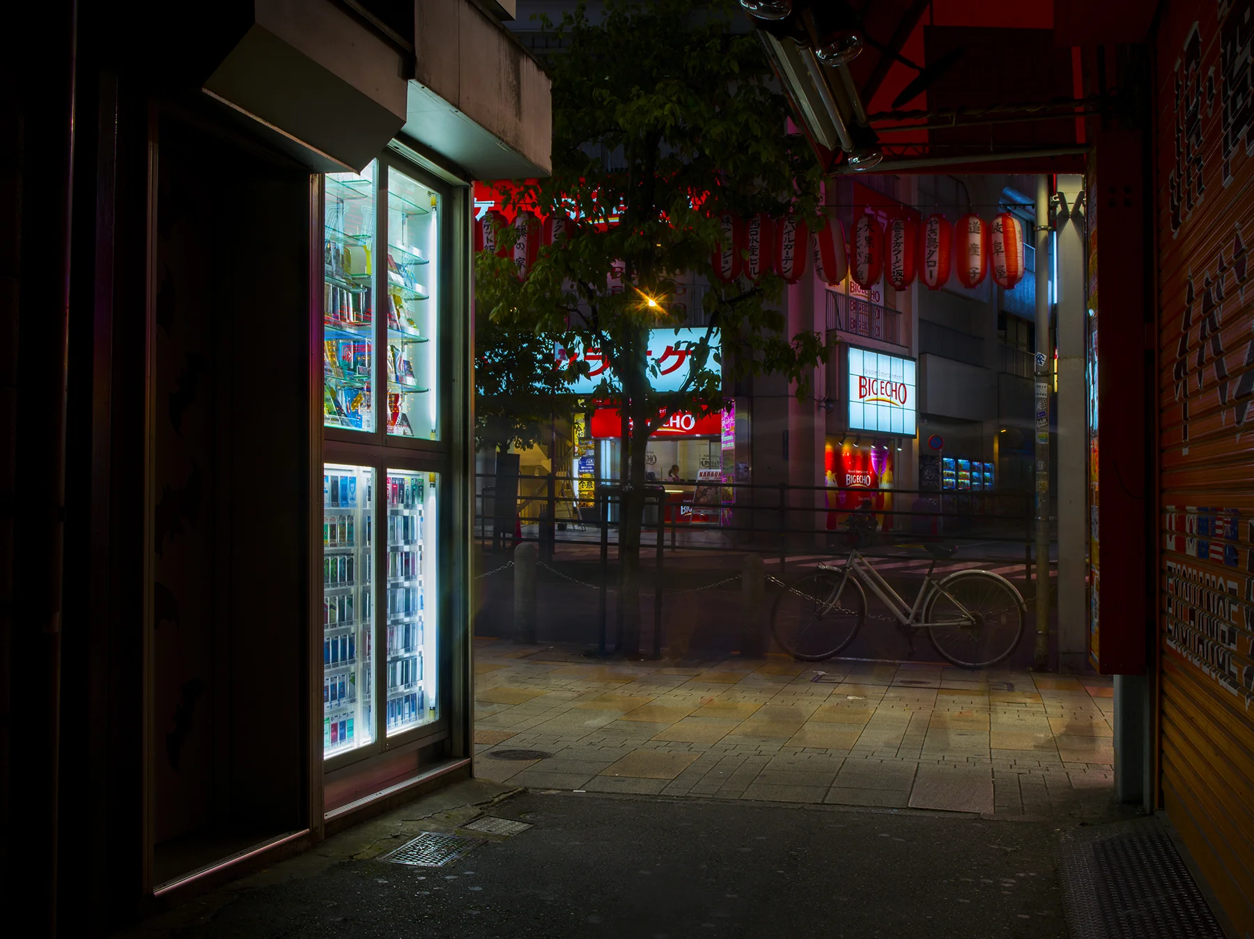 JAPAN_NIGHT_HASSELBLAD_9_2017_0068.jpg