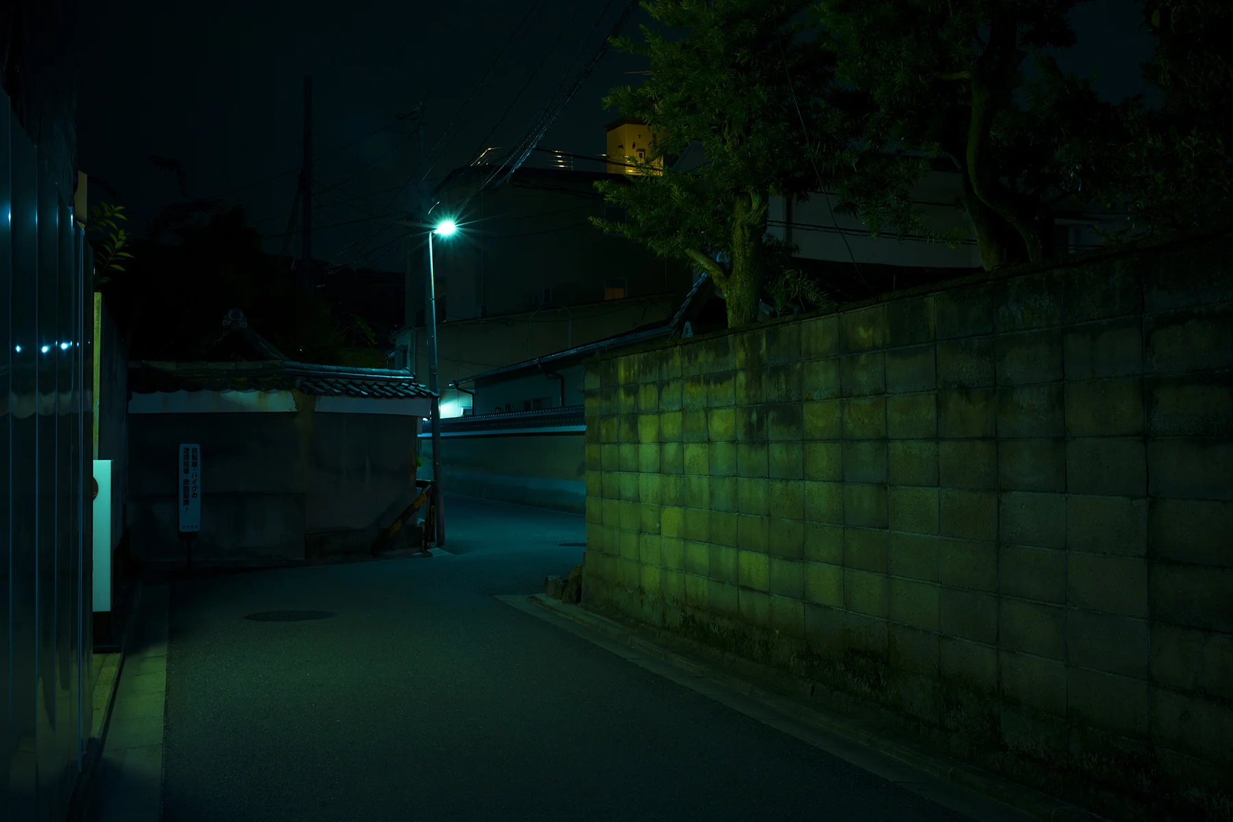 JAPAN_TOKYO_KYOTO_UJI_9_2017_0748_1.jpg