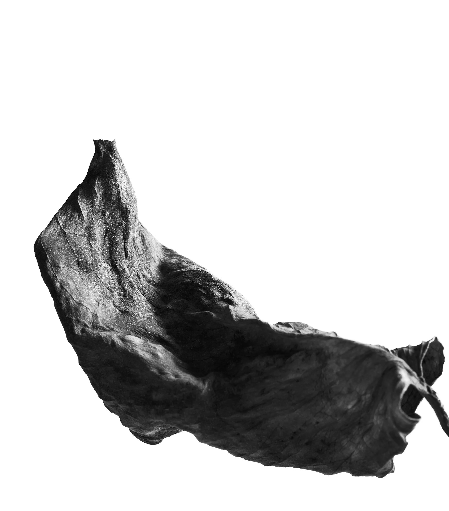 LEAVES_HOUSE_4_4_20184030 1.jpg