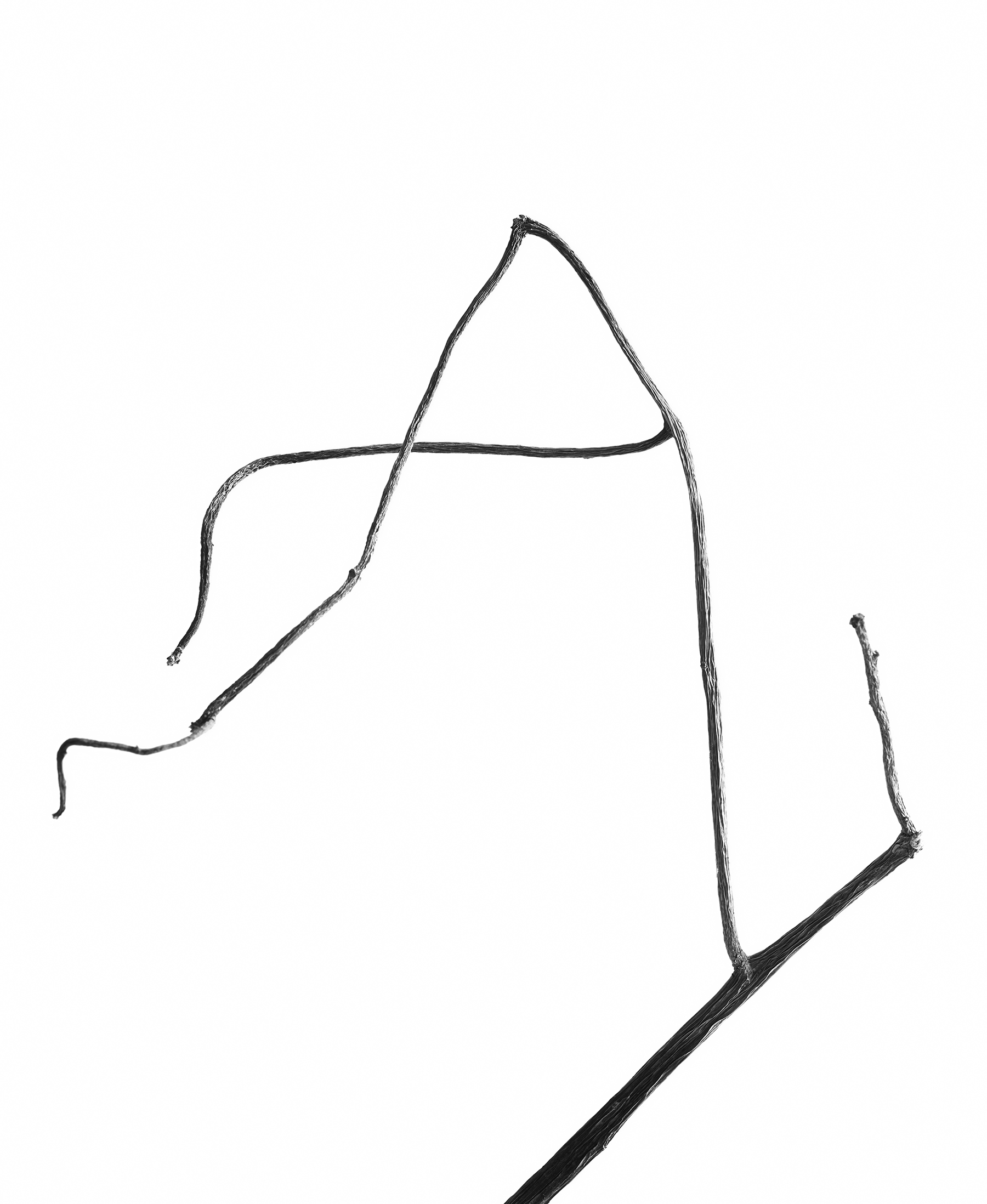LEAVES_HOUSE_4_10_20184183.jpg