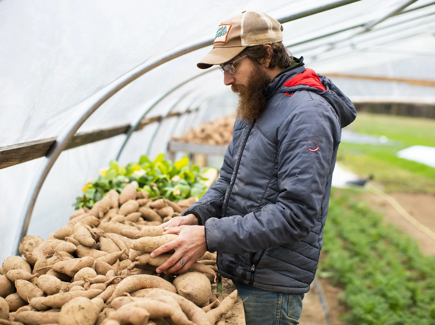 SWEETER_DAYS_FARM_11_9_2018_029.jpg