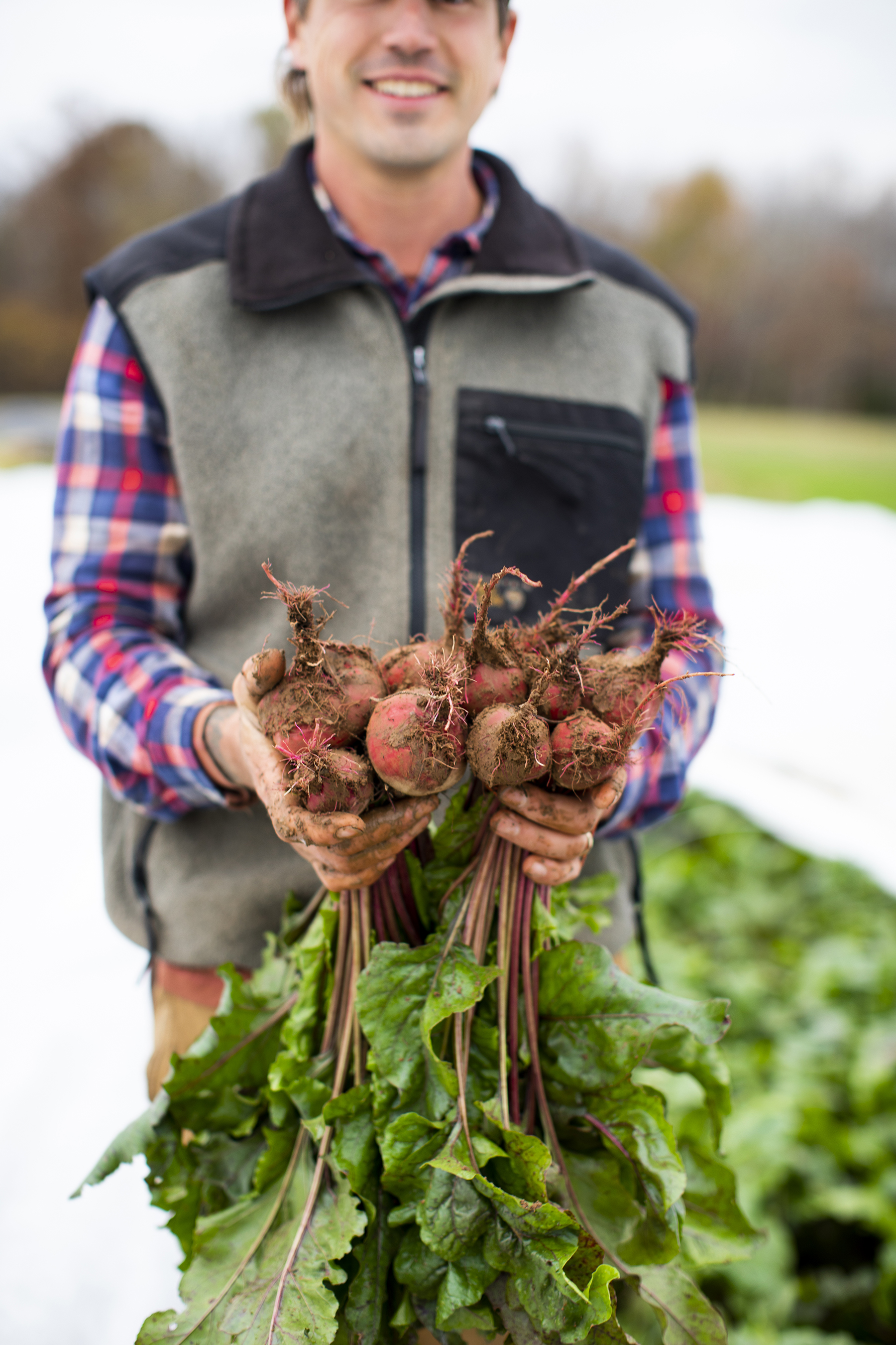 SWEETER_DAYS_FARM_11_9_2018_024.jpg