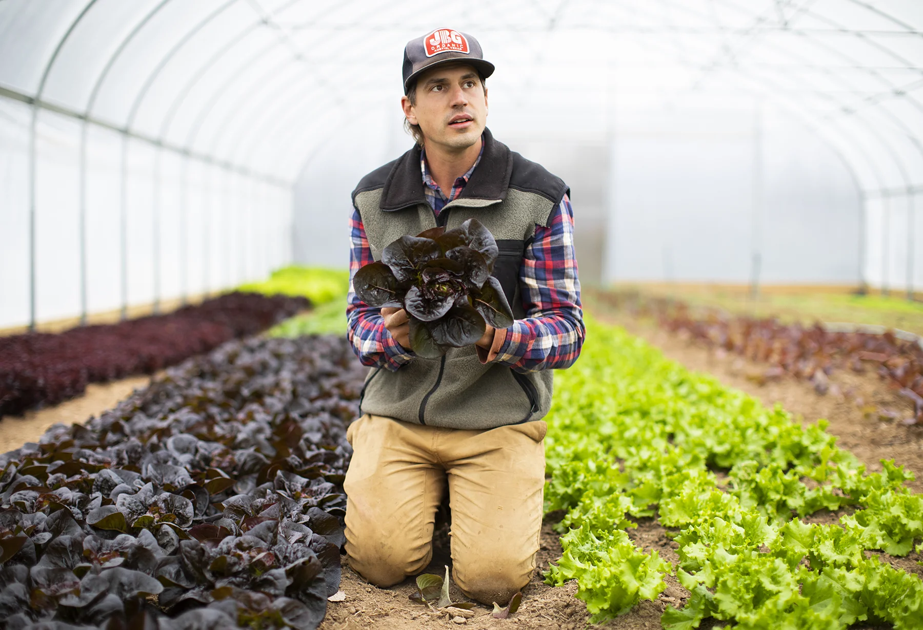 SWEETER_DAYS_FARM_11_9_2018_049.jpg