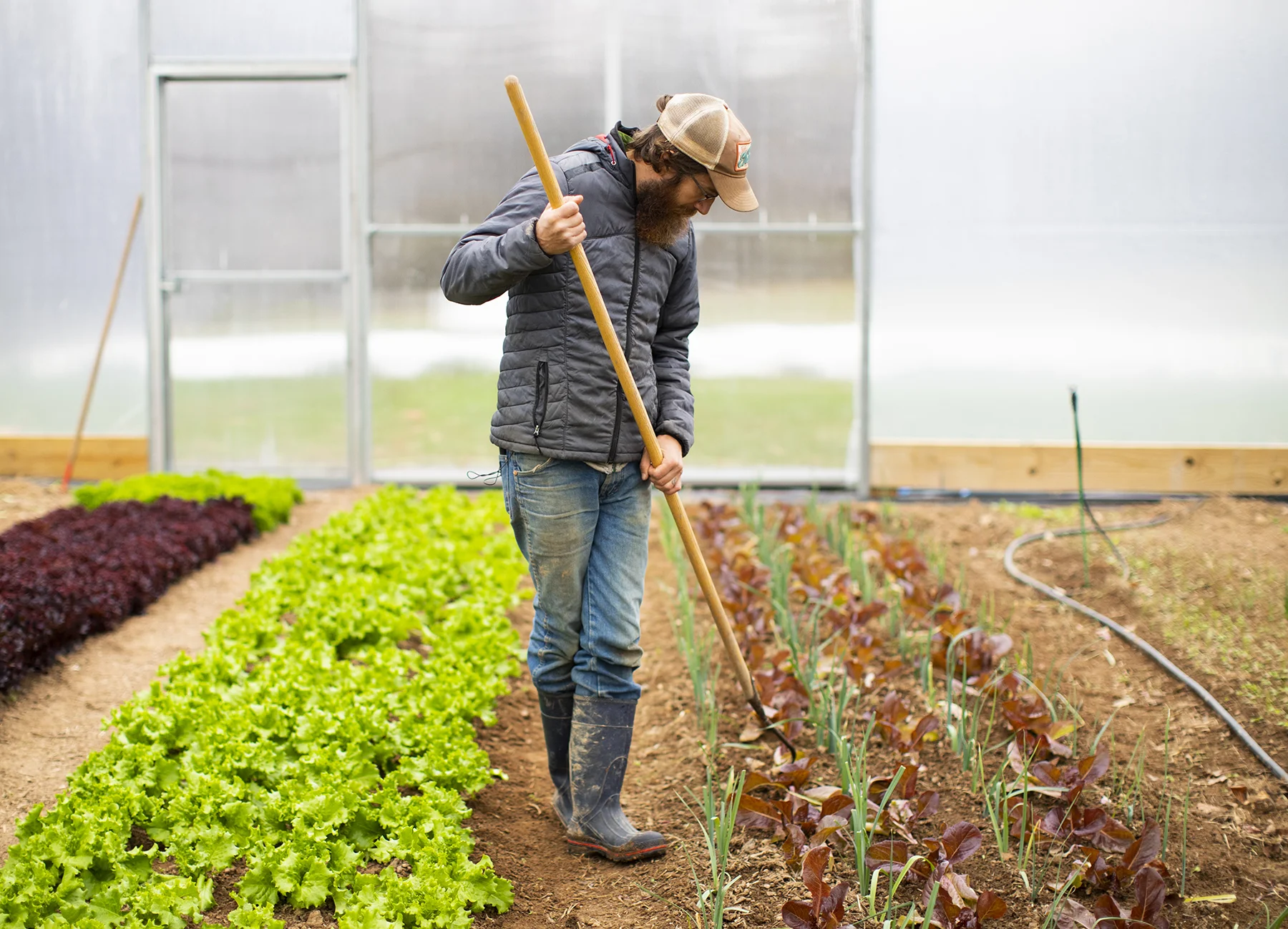 SWEETER_DAYS_FARM_11_9_2018_055.jpg