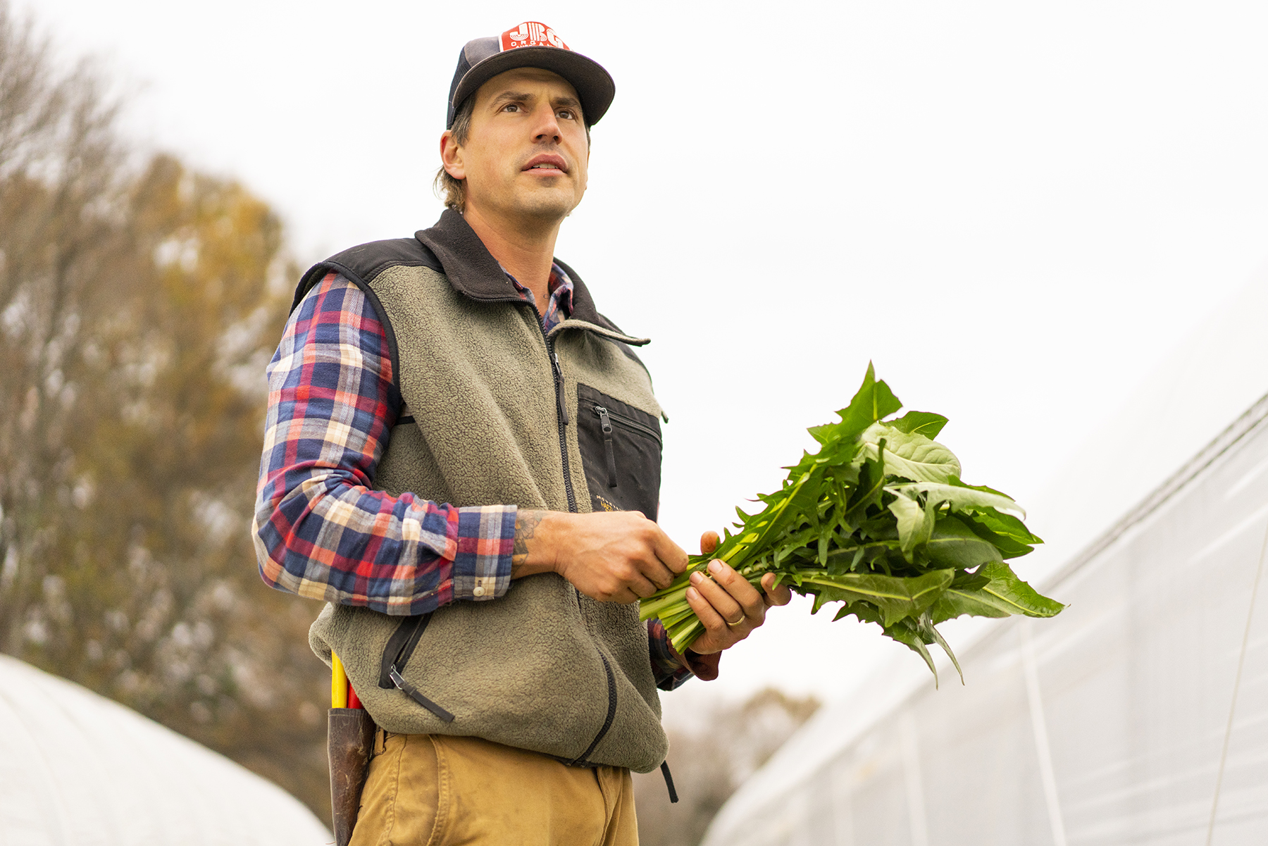 SWEETER_DAYS_FARM_11_9_2018_091.jpg