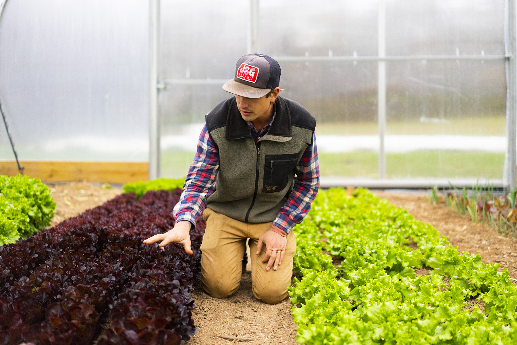 SWEETER_DAYS_FARM_11_9_2018_110.jpg