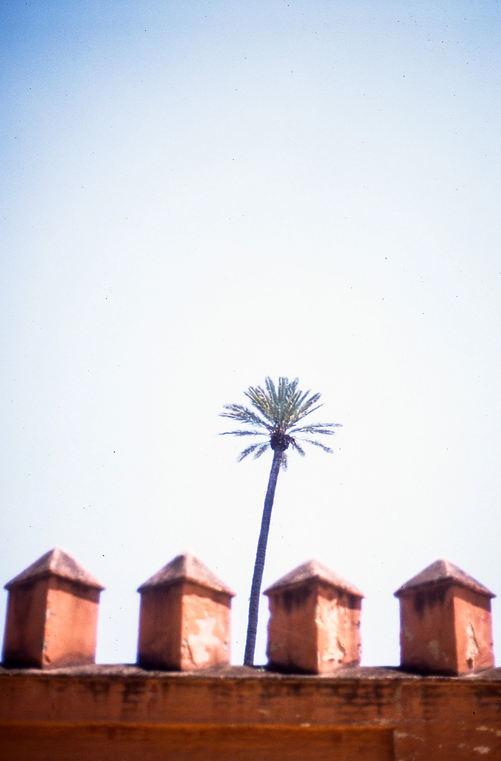 img734.jpg