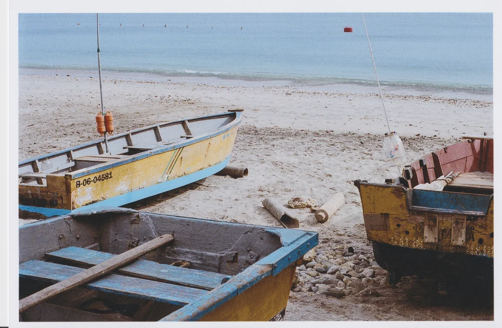 Salinas 13.jpg