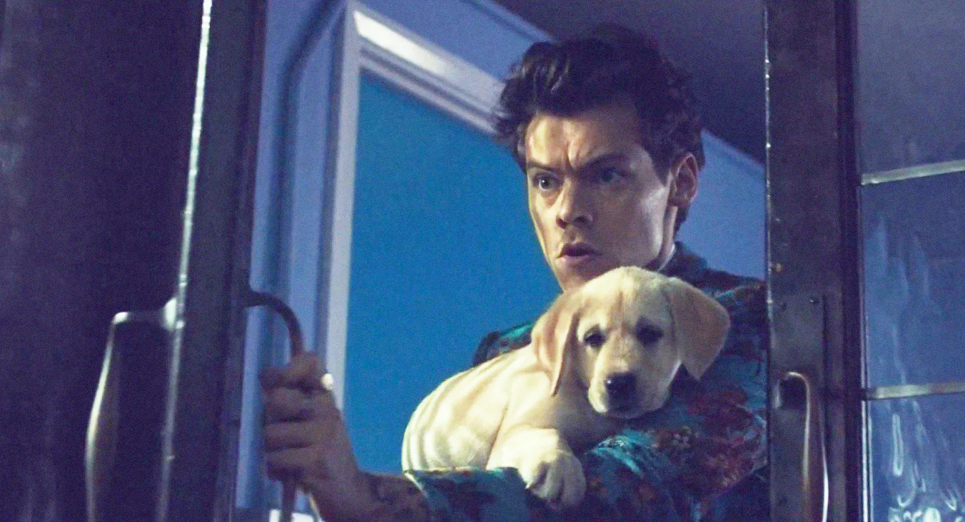 harry2.jpg