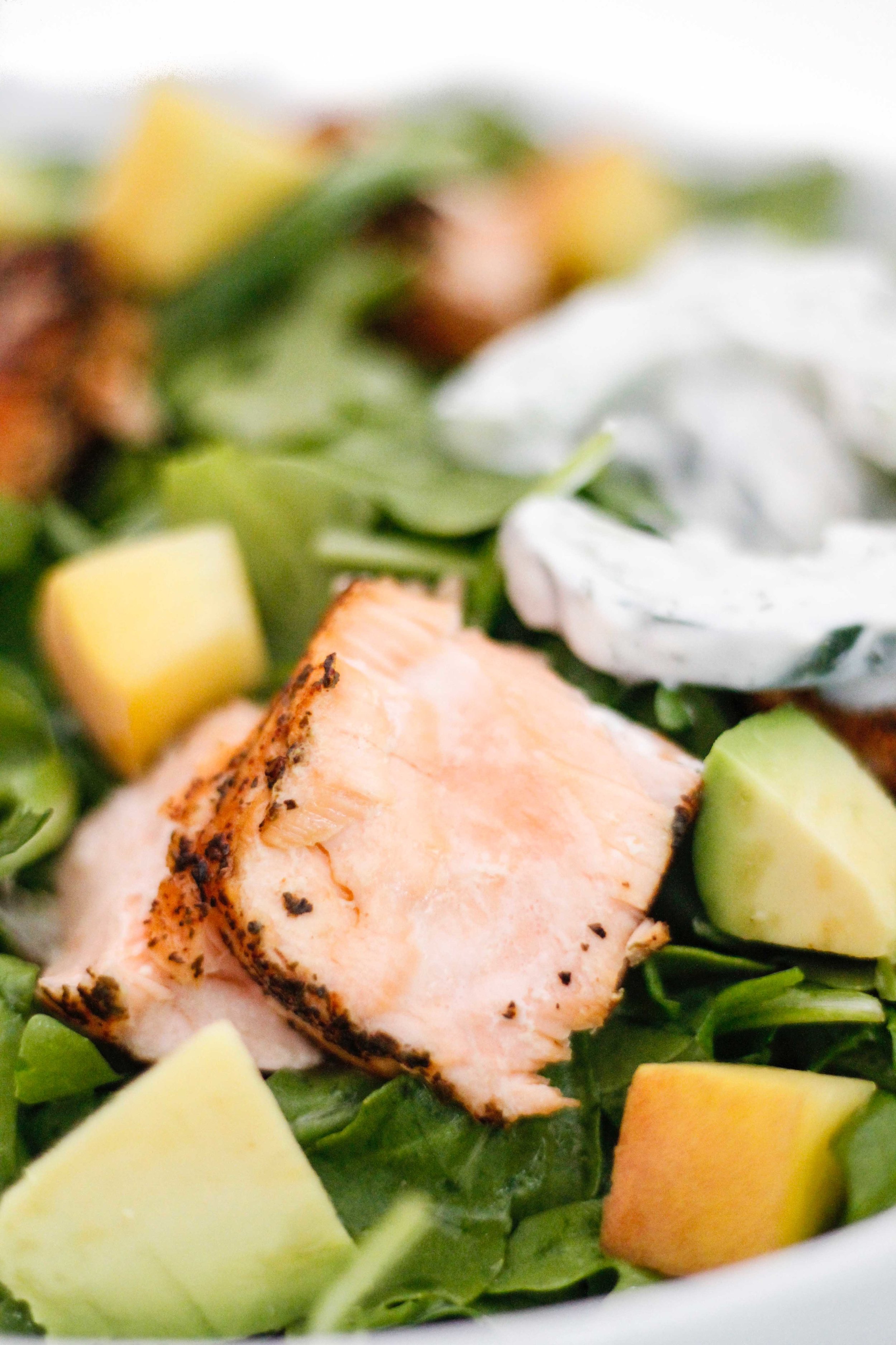 Green tea salmon salad