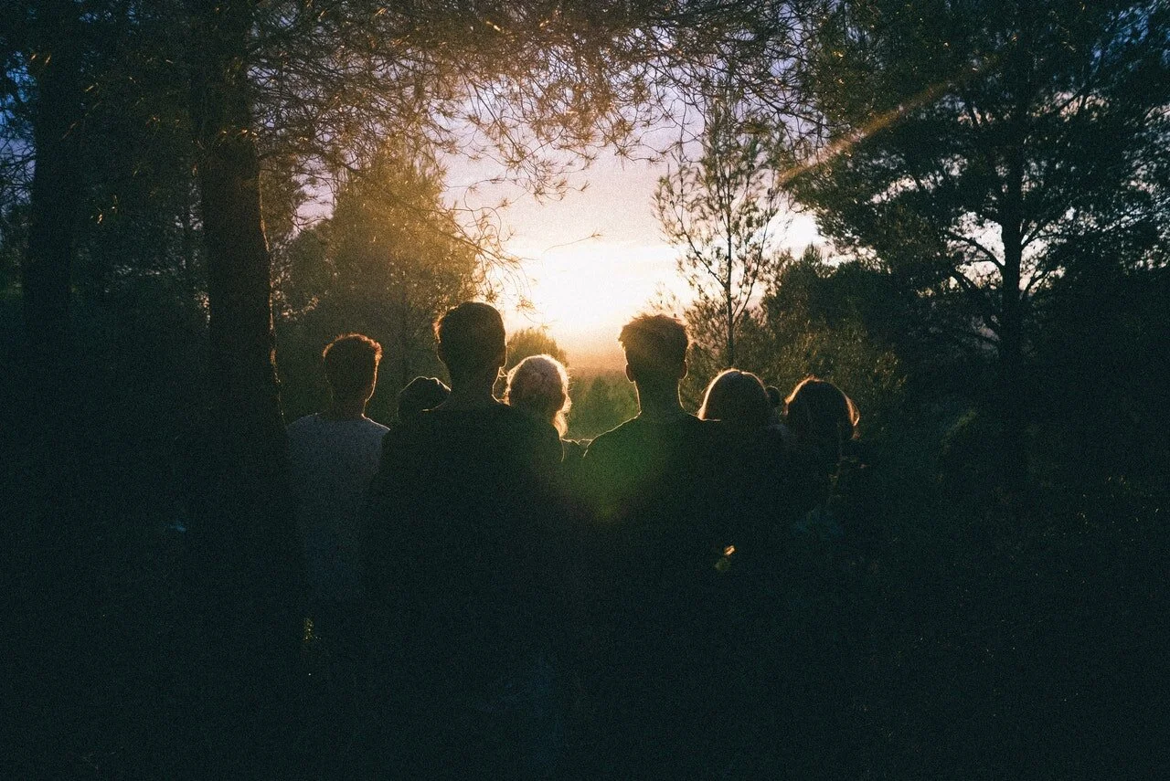 silhouette-of-group-of-people-between-tree-line-939328.jpg
