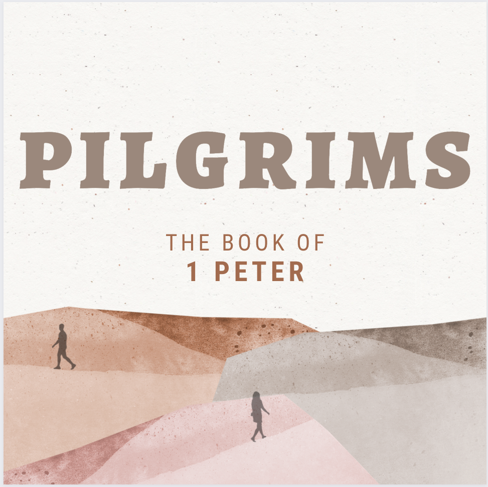 "Subject and  Submission"  1 Peter 2:11-17 pt.1 episode artwork