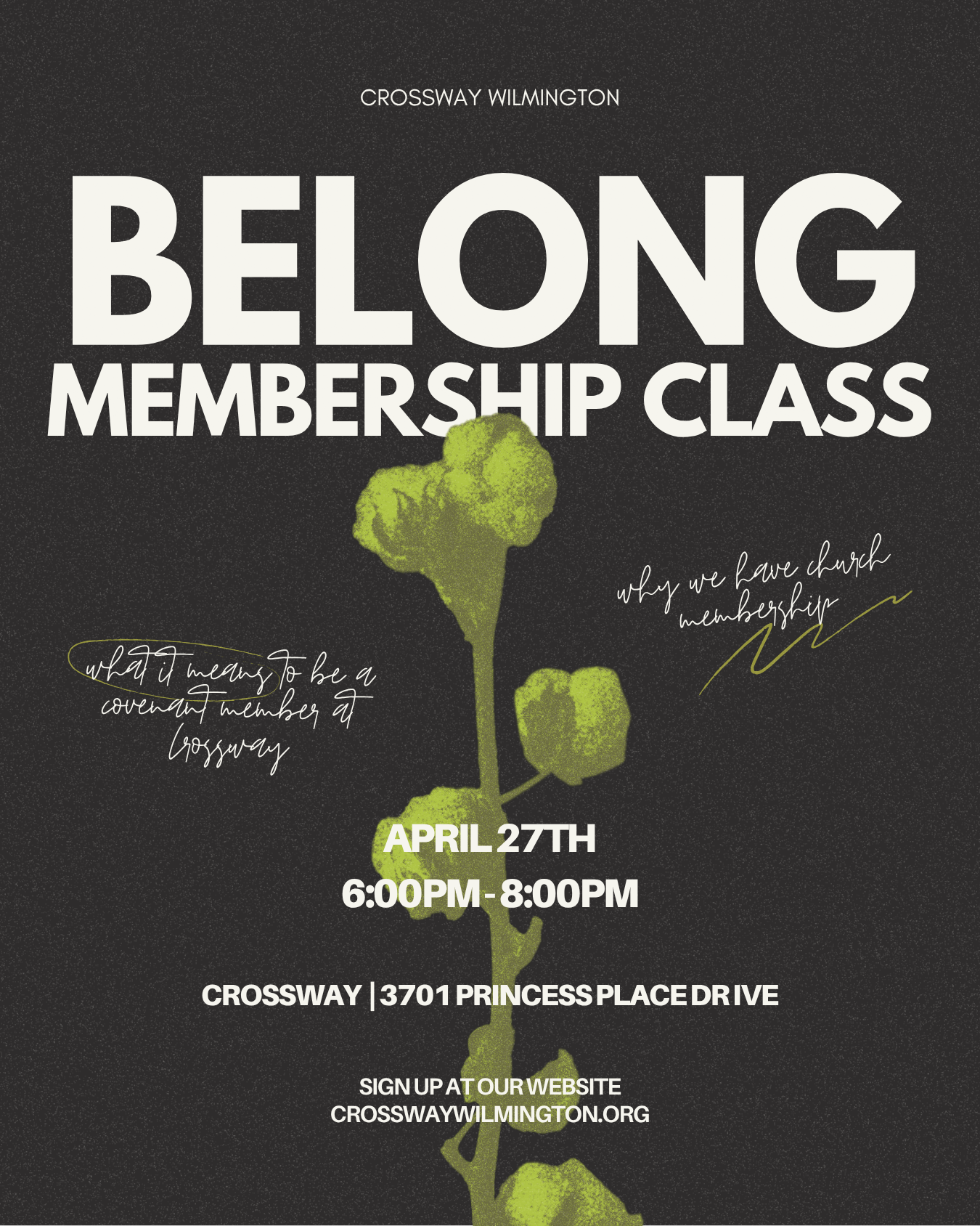 Belong Membership Class