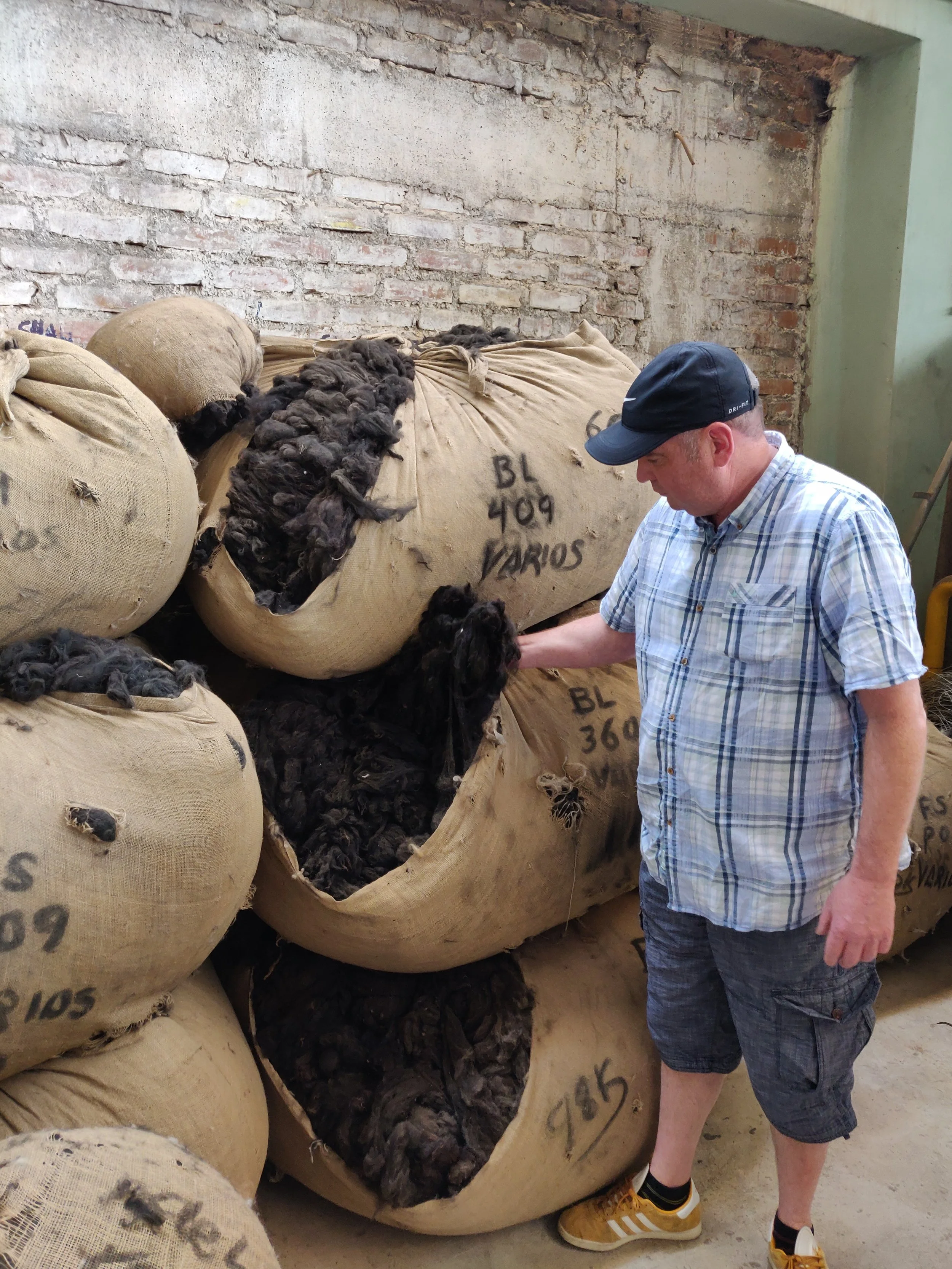 This is naturally black alpaca, we blend this down with cream alpaca to get our naturally grey Angel yarn.