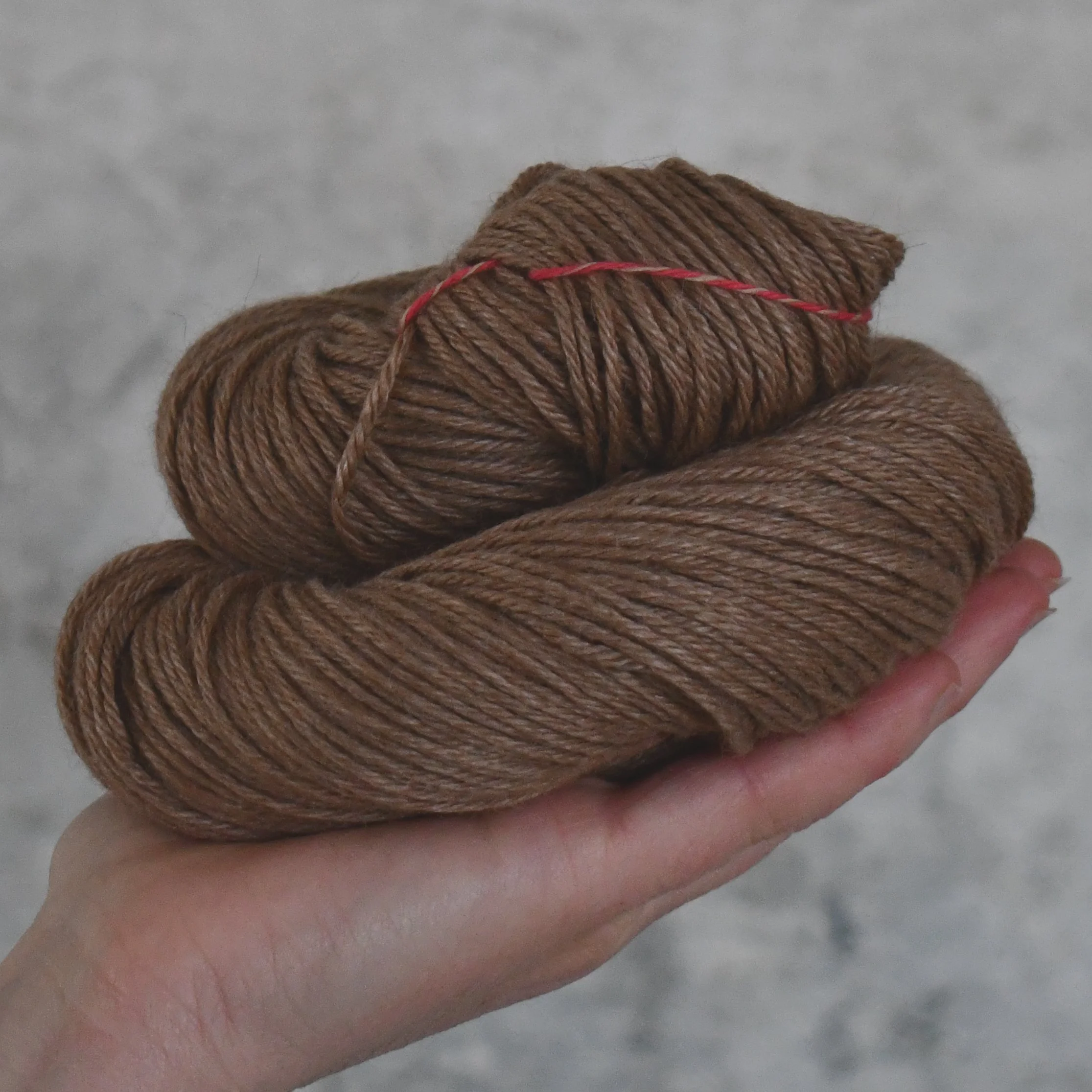 Angel Adular DK - Type  49254