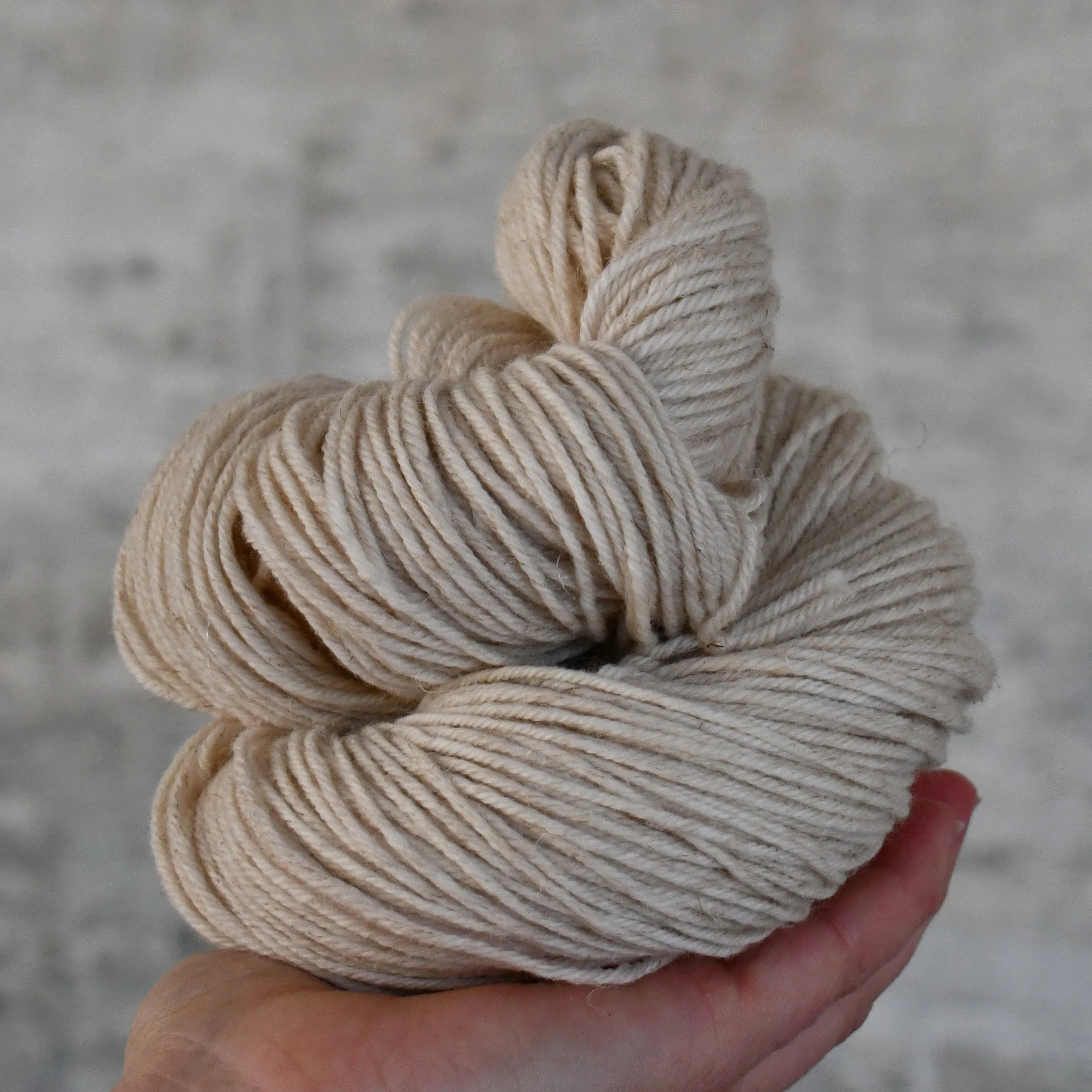 Eco DK - Type 49255