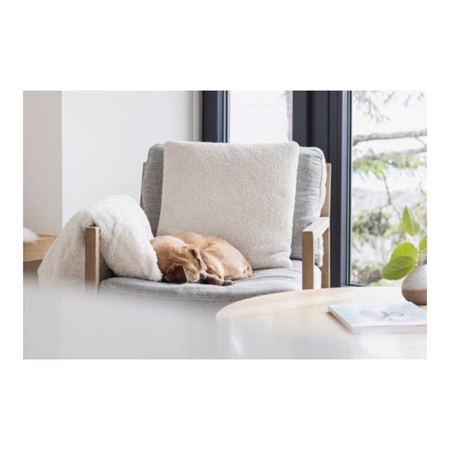 Sleepy head
.
.
.
.
.
@saltwoodbeachhouse #wilbur #beachhouse #ukee #ucluelet #yyj #vancouverisland #canada #dog #dogsofinstagram #airbnb #interiordesign #interiors #furniture #seaview #ocean #photography #interiorphotography #saltwoodbeachhouse