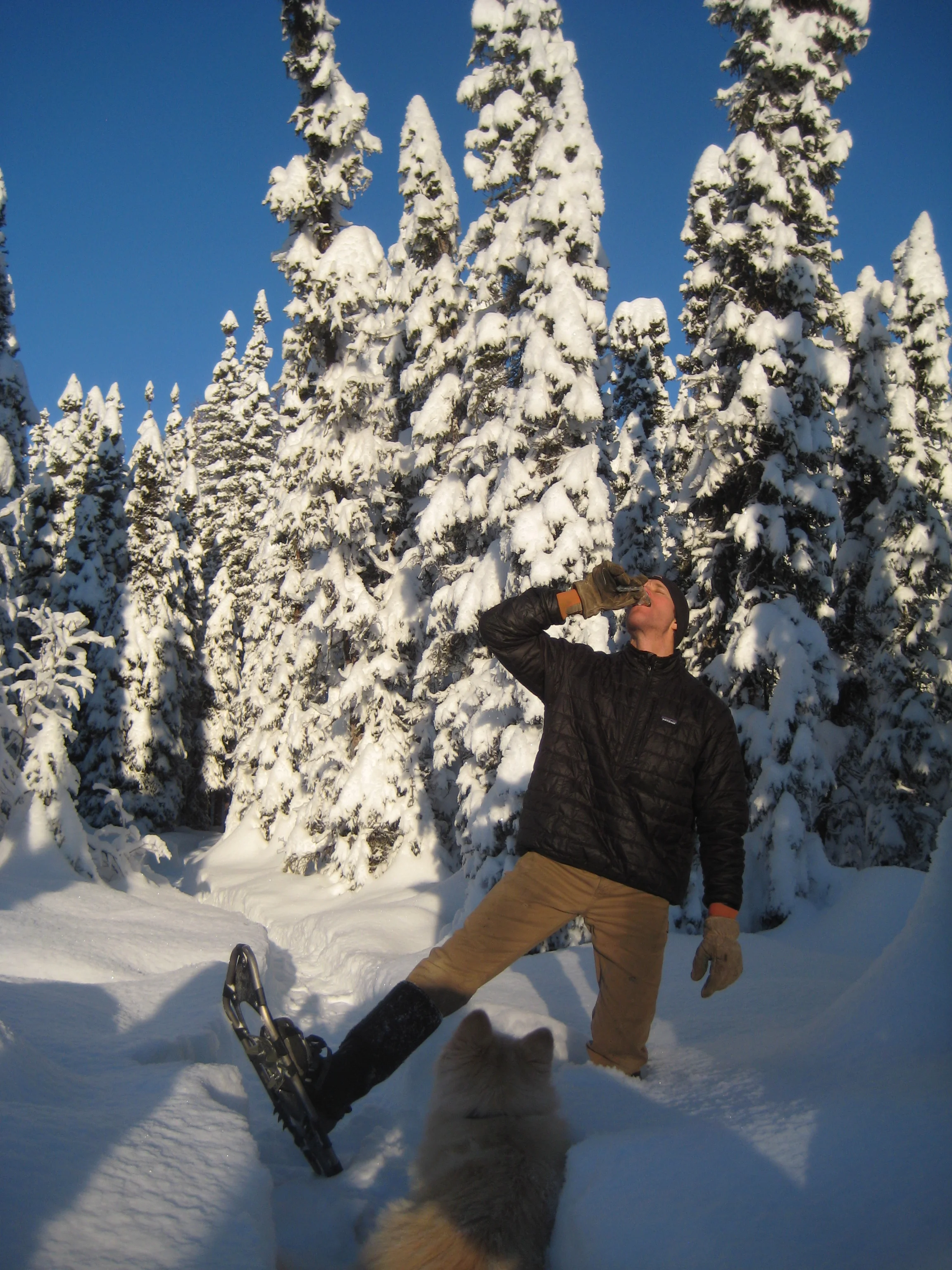 Kris from Talkeetna, Alaska sent these photos from an afternoon outing on snowshoes with his dog Kaiya. 