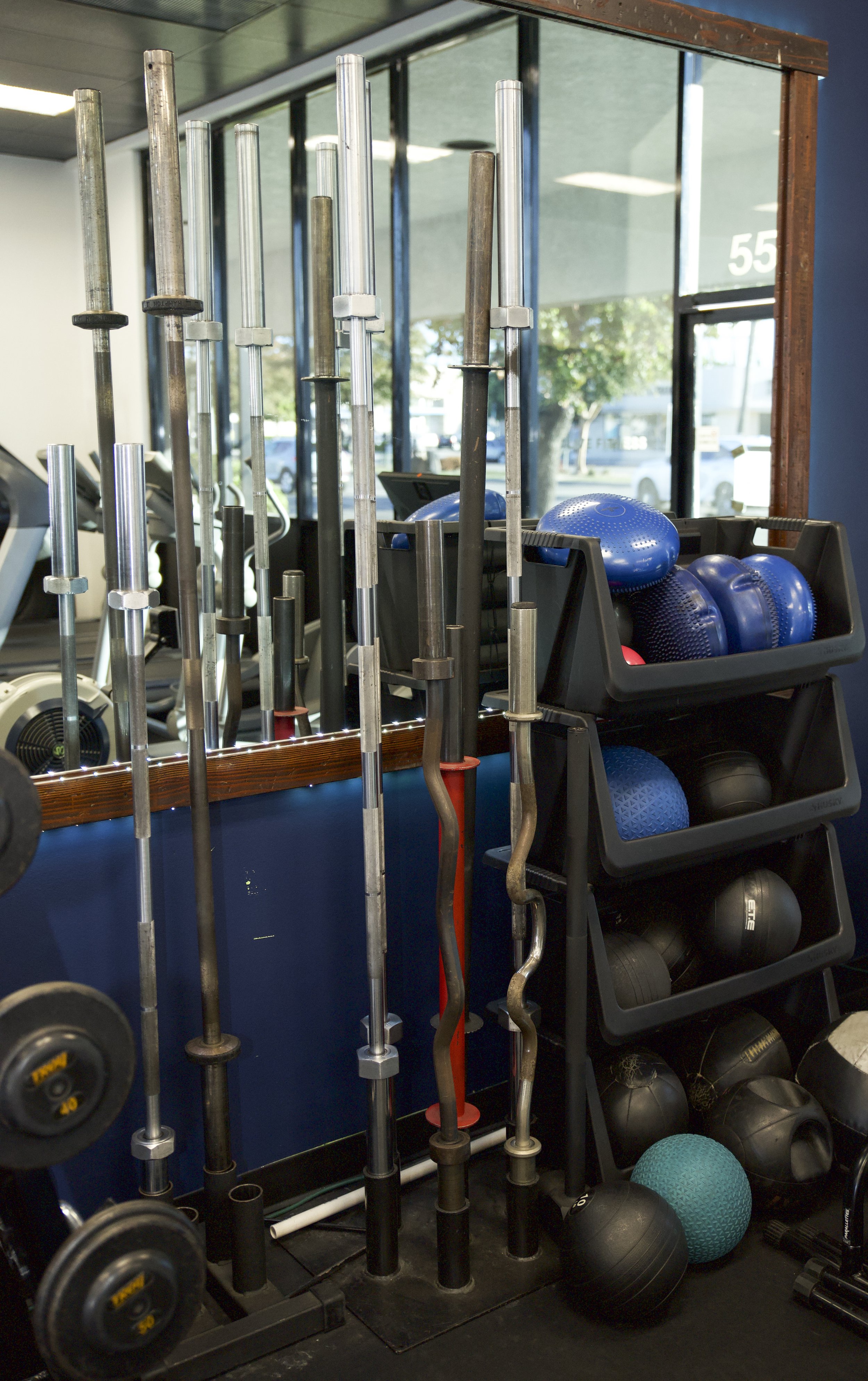 A rack of various types of exercise sticks, a black storage container with blue and black exercise balls, and some kettlebells on the floor in a gym.