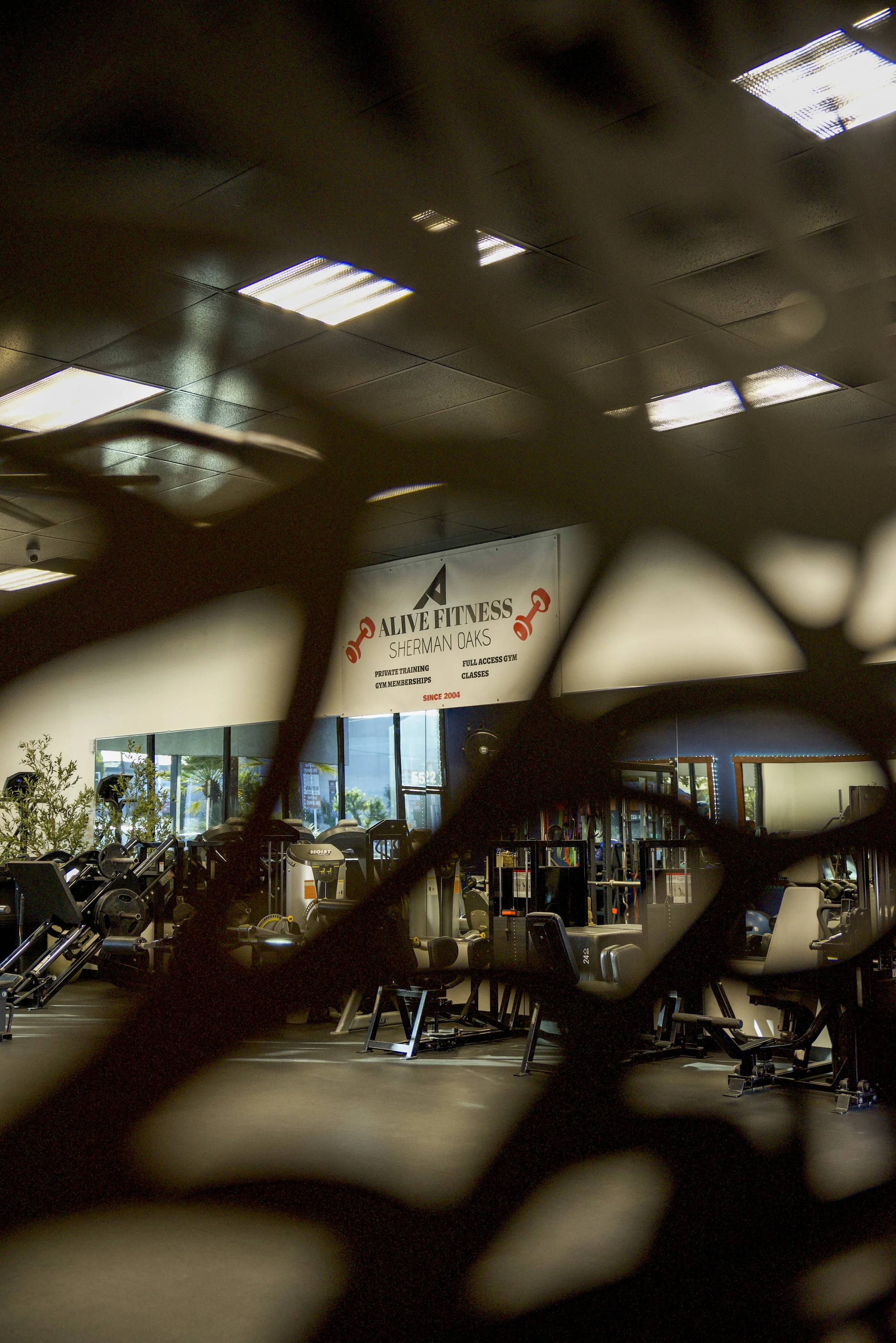 Interior of a gym, seen through a decorative metal grille. The gym is equipped with various workout machines and weights. A sign in the background reads "Alive Fitness Sherman Oaks".