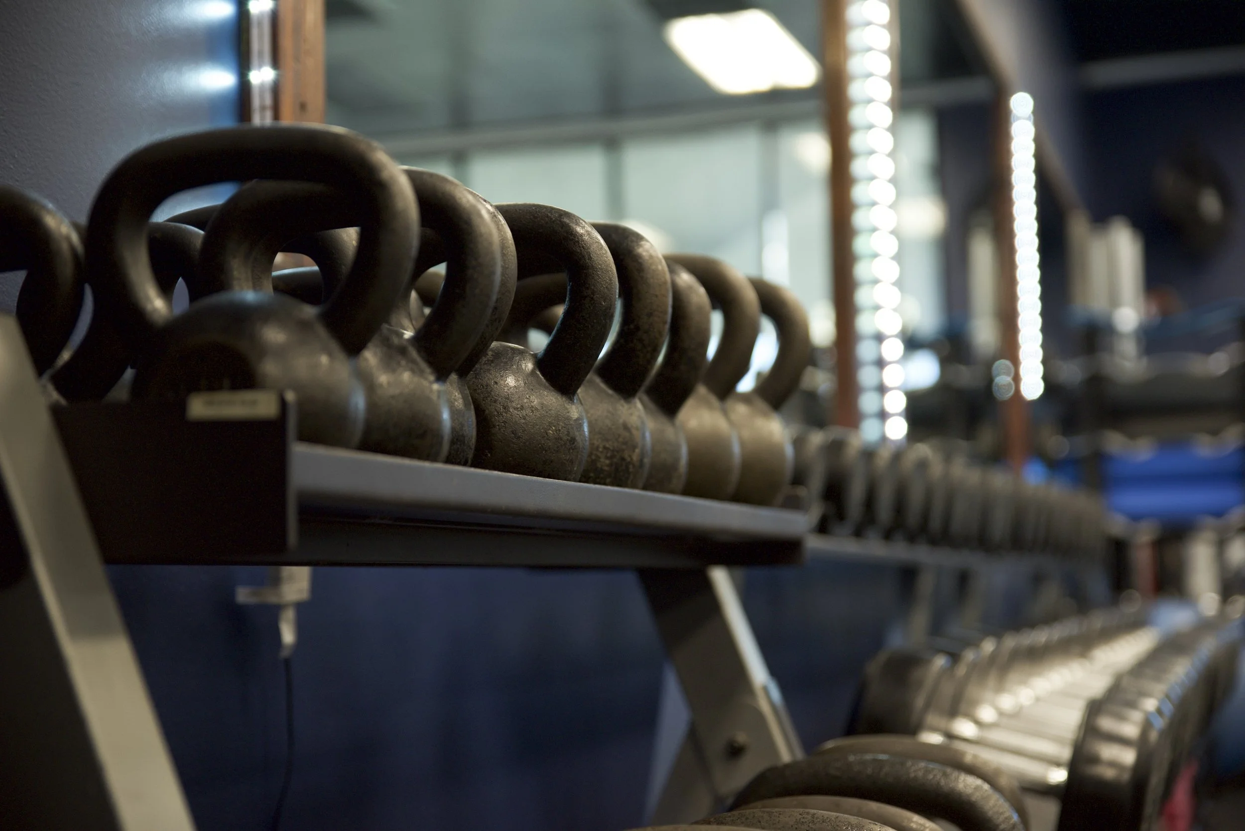 Row of kettlebells on a shelf in a gym with a blurred background of windows and exercise equipment.