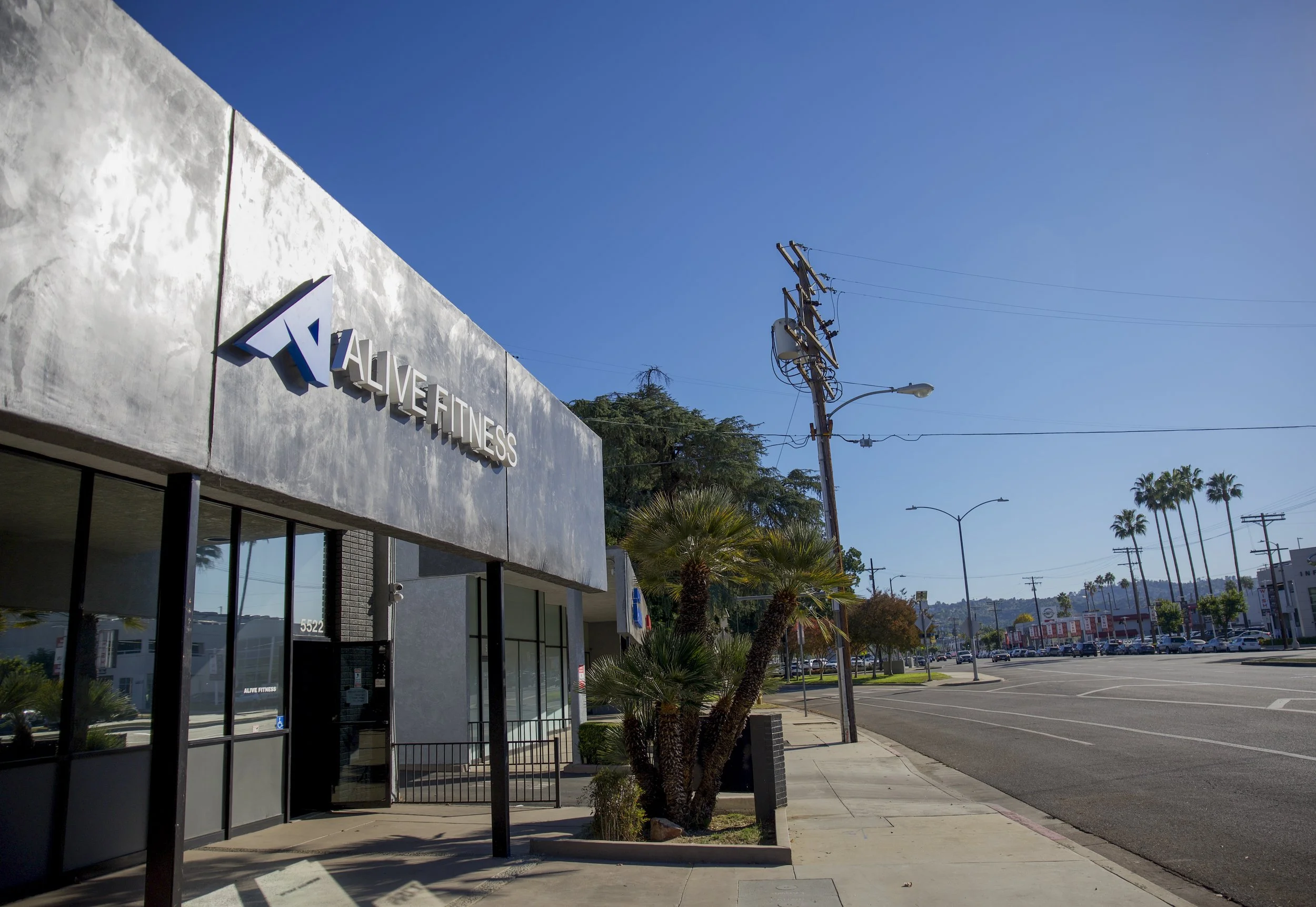 A street view with a fitness center named Alive Fitness on the left side, tall palm trees lining the sidewalk, utility poles and wires, and a clear blue sky.