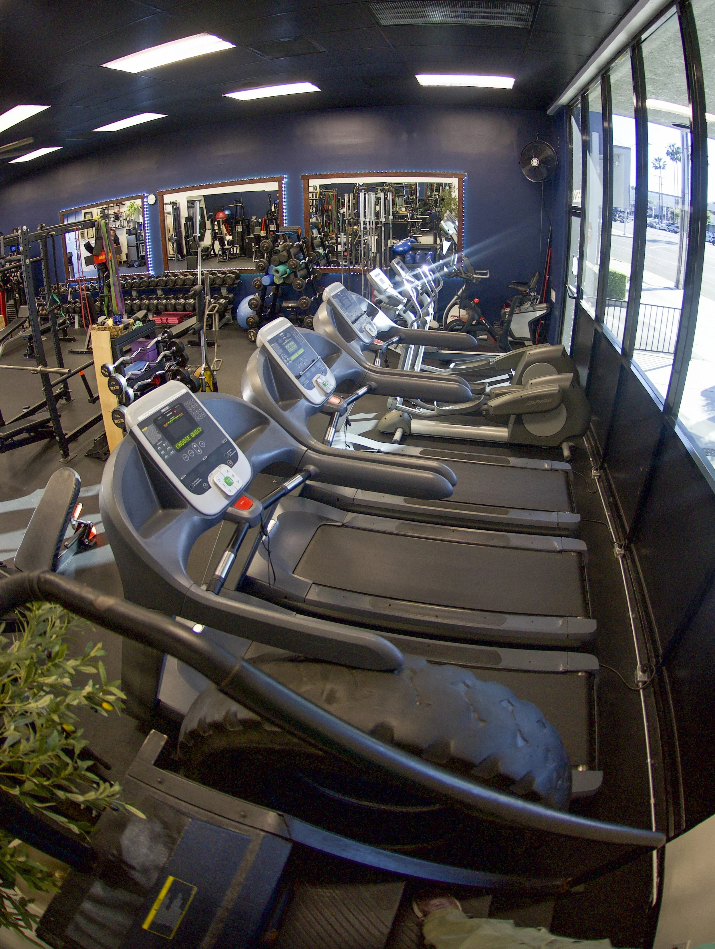 Gym with treadmills and exercise equipment near large windows.