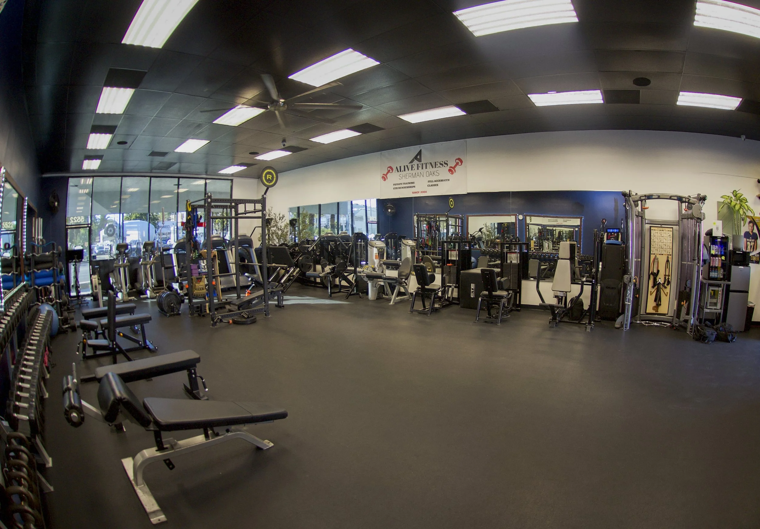Interior view of a modern gym with various exercise equipment, including free weights, machines, and benches, near large windows that let in natural light.