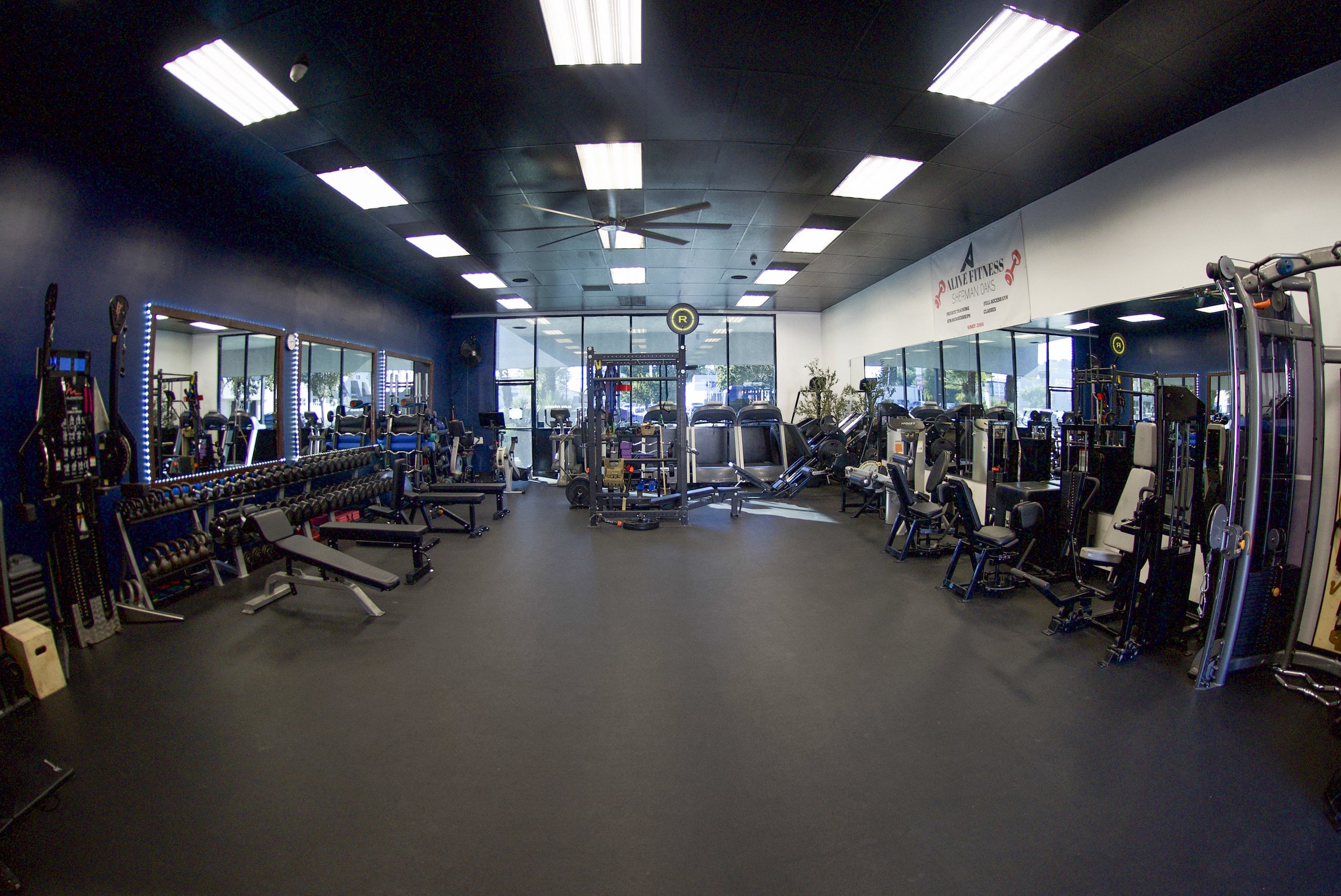 Empty gym with various exercise equipment, mirrors on the left wall, large windows at the back, and a white wall with a fitness banner on the right.