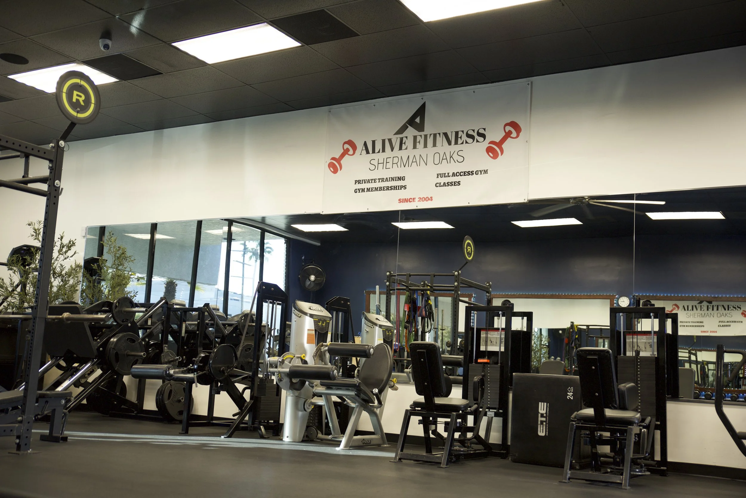 Inside a fitness gym with various workout equipment, mirrors, and a sign that reads 'Alive Fitness Sherman Oaks' with details about training, memberships, and classes.