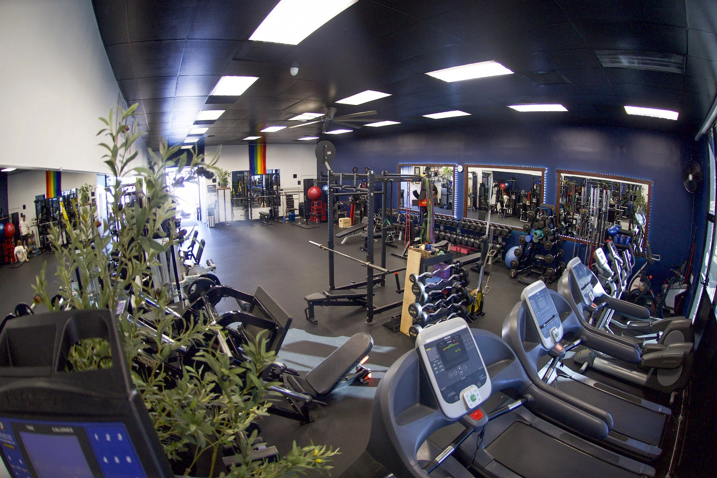 Interior of a gym with fitness equipment, including treadmills, weight racks, and exercise stations, along with mirrors and windows.