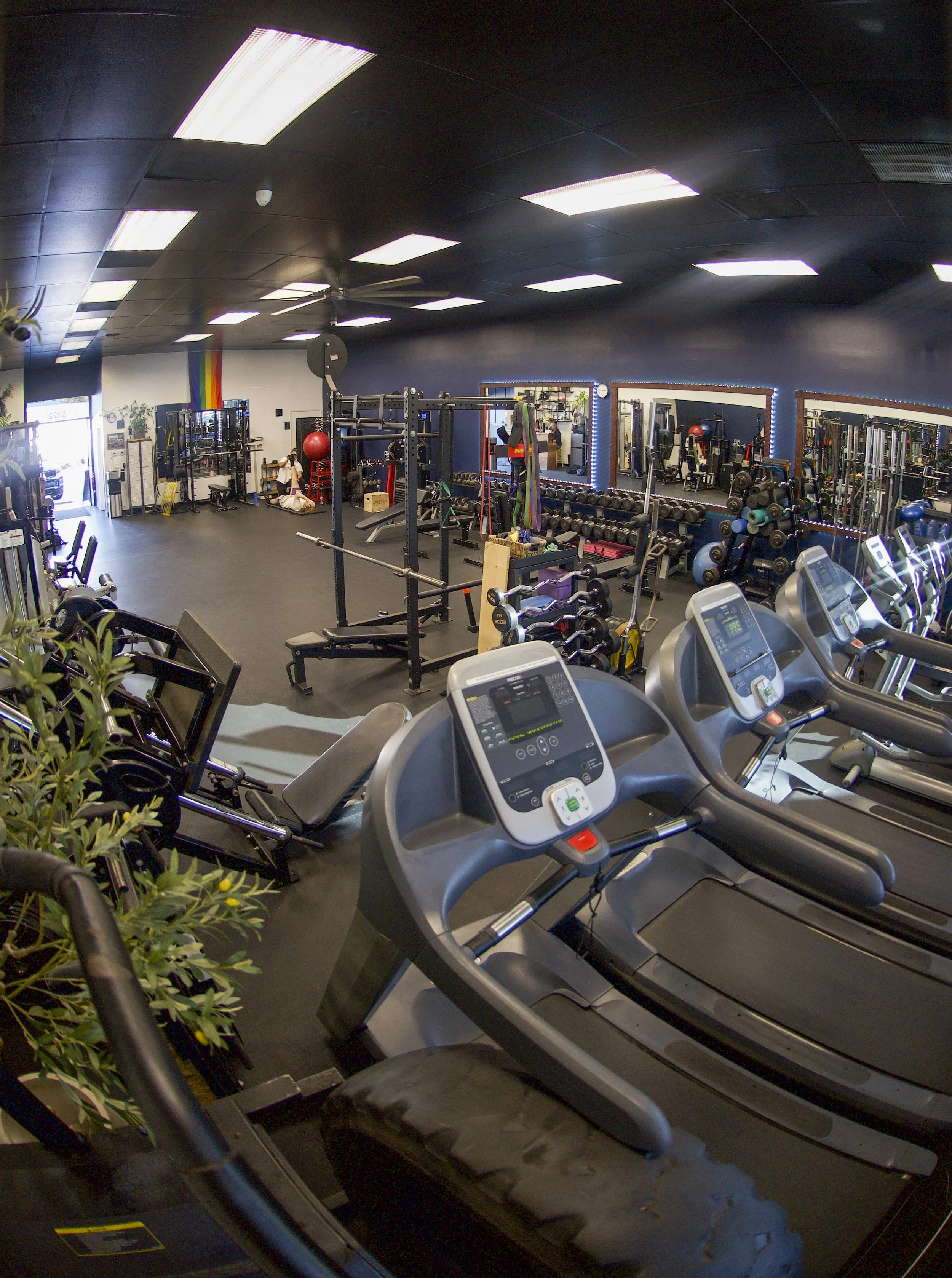 Interior of a gym with cardio machines, weight racks, and exercise equipment in a well-lit room.