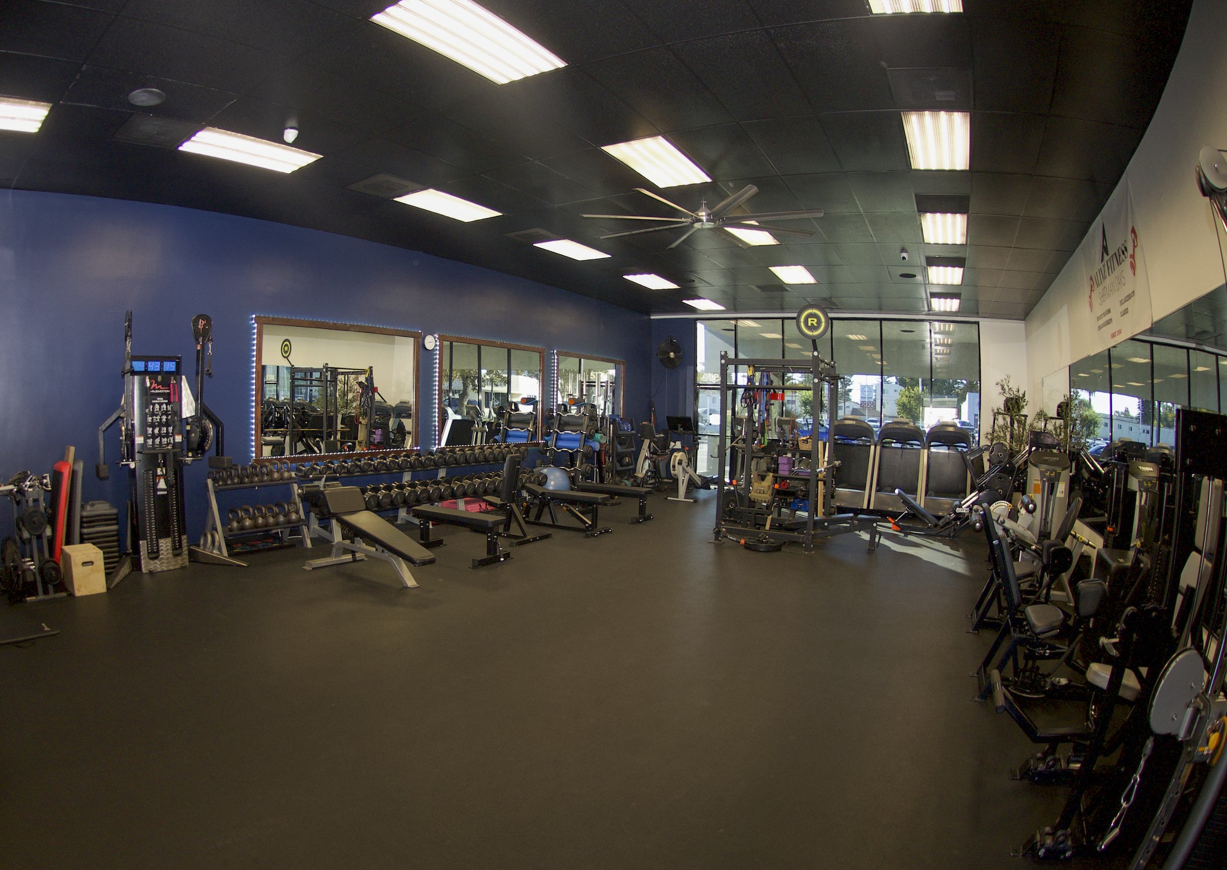 Interior of a gym with various workout equipment, including dumbbells, benches, and cardio machines, with large windows and blue wall.