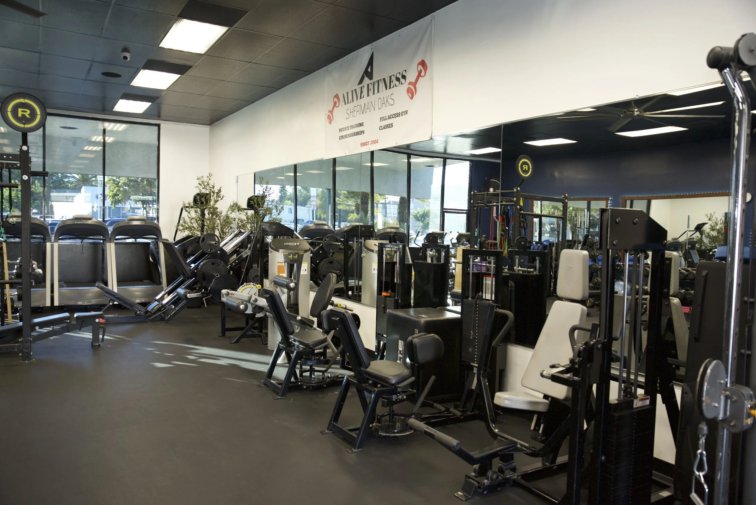 Interior of a gym with various workout equipment, large windows, and a sign that reads 'Alive Fitness Sherman Oaks'