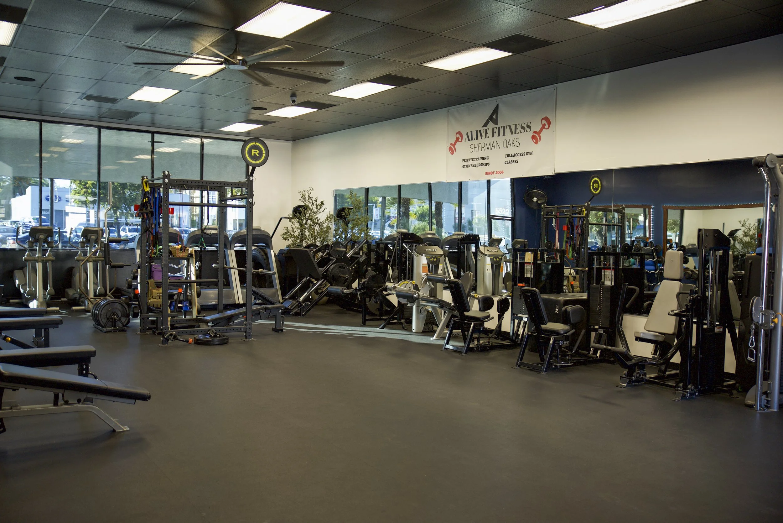 Interior of a gym with various fitness equipment including weight machines, cardio machines, and free weights, with large windows and a sign that reads 'Alive Fitness Sherman Oaks'.