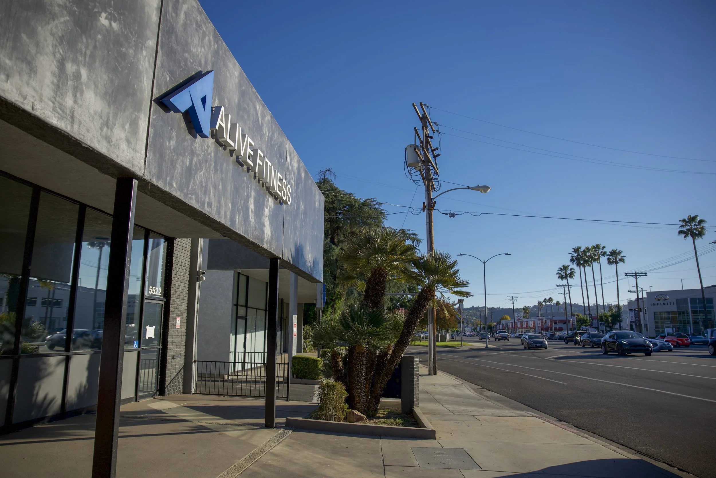 Street view of a fitness center with a sign that says 'TRUE FITNESS', palm trees, utility pole, and a busy road with cars in a sunny California setting.