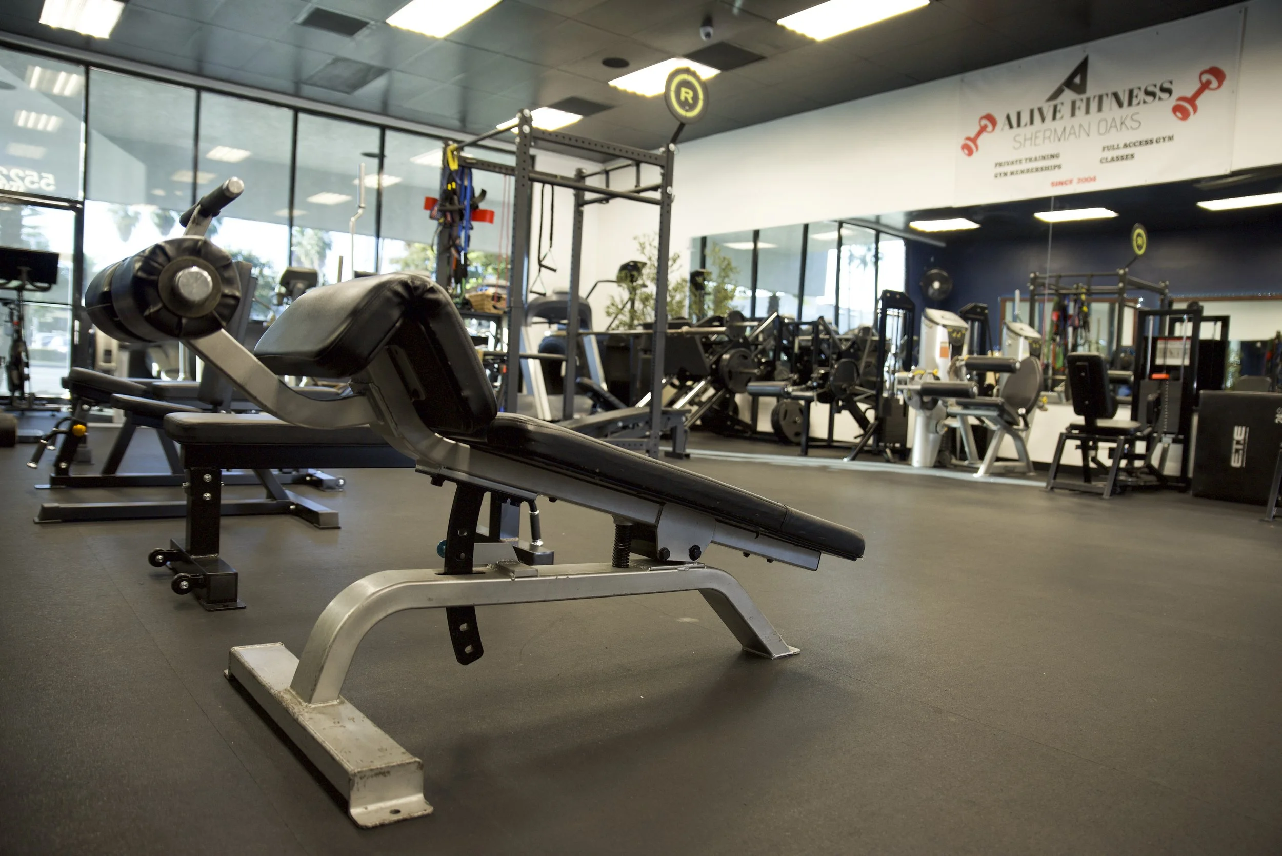 Empty gym with various workout equipment including a bench, weight machines, and free weights, with large windows and a sign for Alive Fitness.