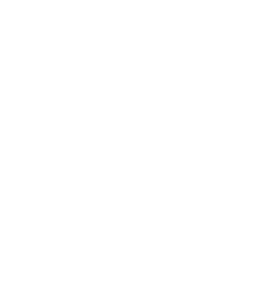 Laughing Squid