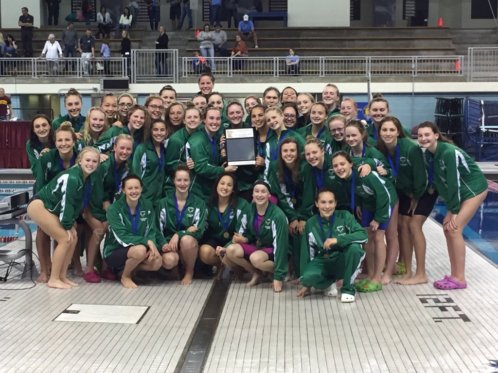 2016 Class AA Girls Swimming and Diving True Team State Champions Edina