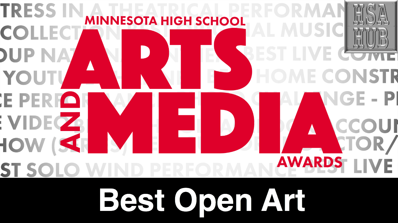 27. Best Open Art Rules & Guidelines Sample Video: Not From Minnesota