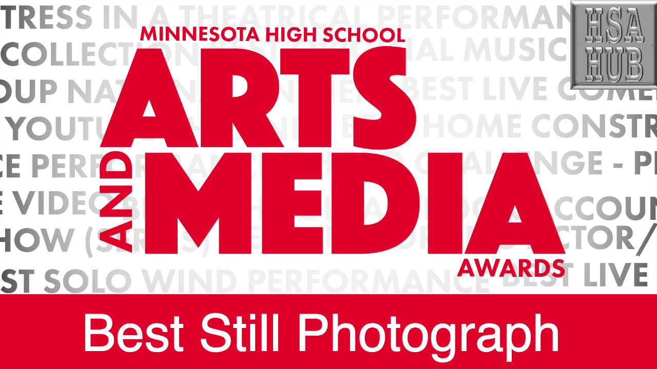 55. Best Still Photograph Rules and Guidelines Sample Video: None Available