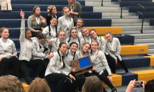 Mounds View Viewettes | Section 3AAA - 3rd Place Roster | Website Team Twitter | School Twitter | Students Twitter | Team FB | School FB | Instagram