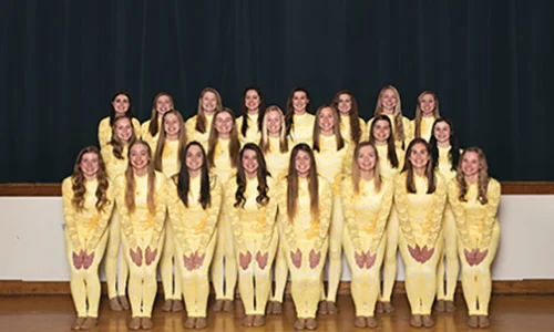 Rocori Rockettes | Section 4AA - 3rd Place Roster | Website Team Twitter | School Twitter | Students Twitter | Team FB | School FB | Instagram