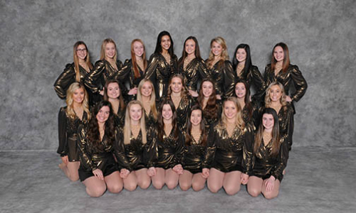 Runner-up Lakeville North | Section 1AAA Champion Roster | Website Team Twitter | School Twitter | Students Twitter | Team FB | School FB | Instagram